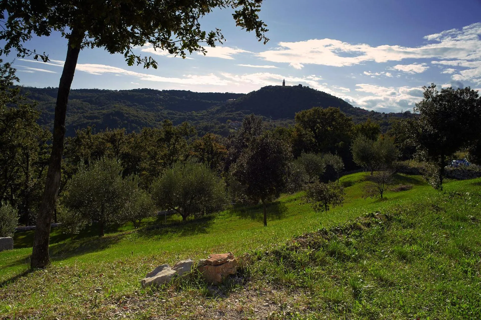 Natural landscape in Apartments Villa Venera