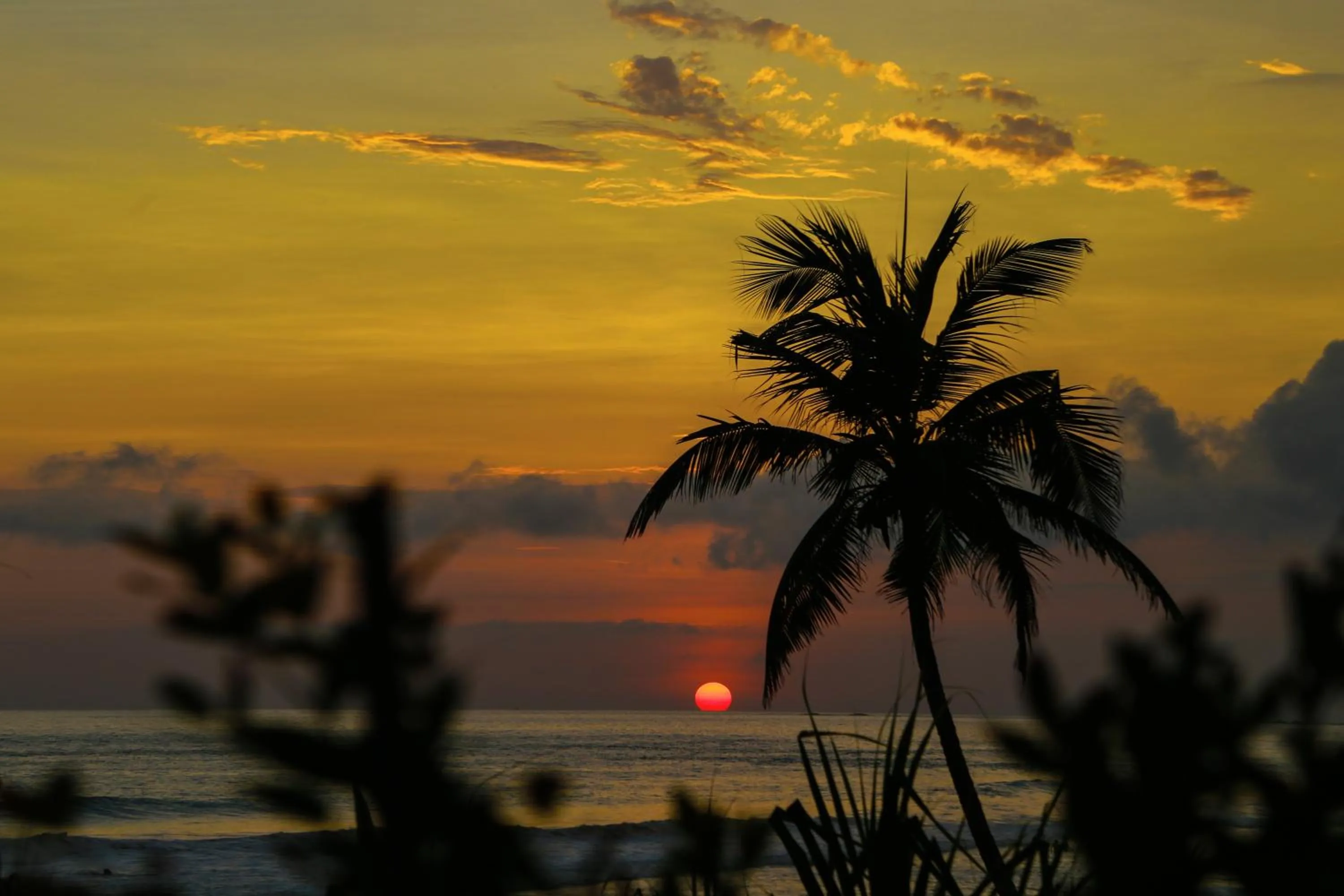 Natural landscape in Top Secret Beach Hotel