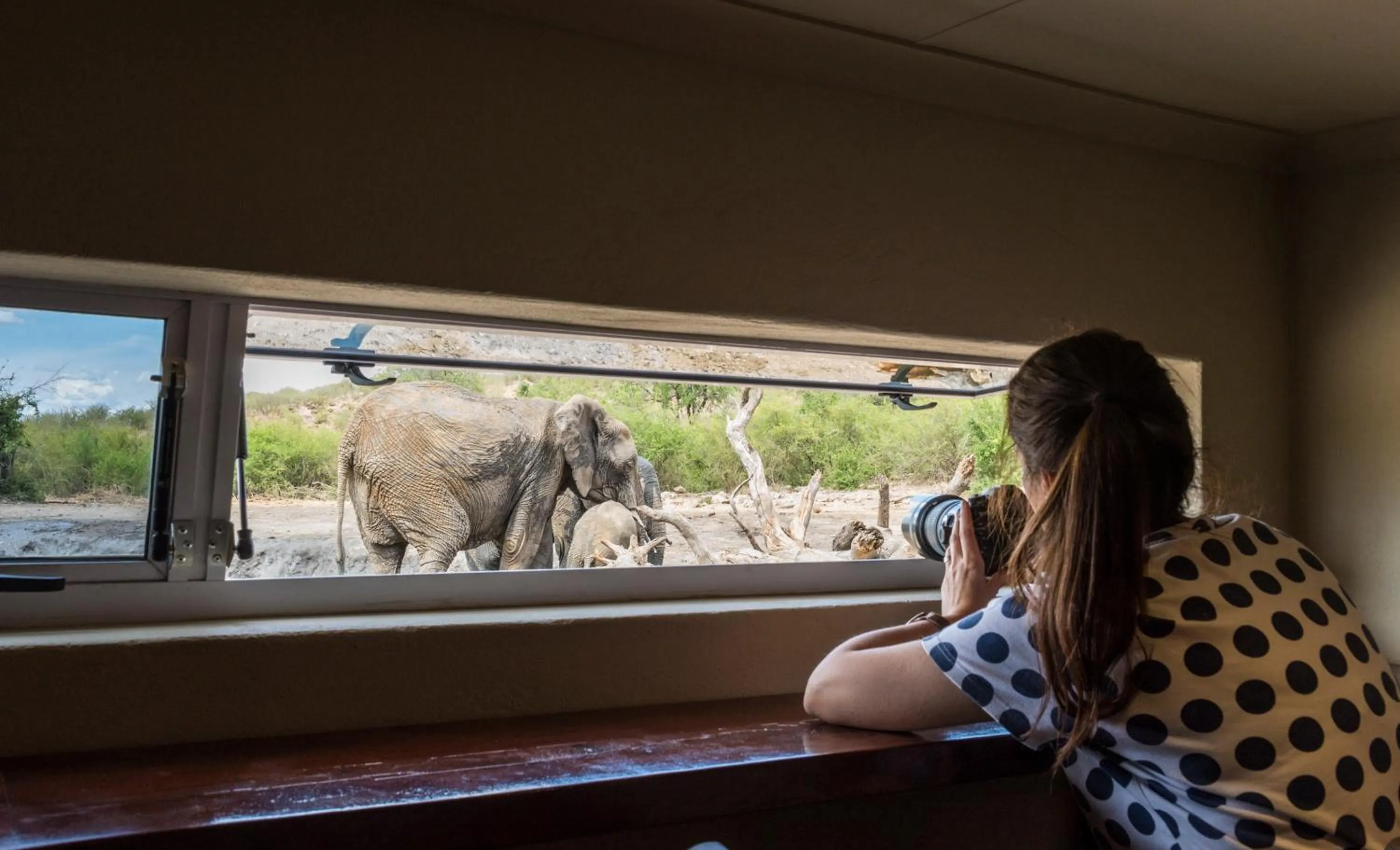 Property building in Impodimo Game Lodge