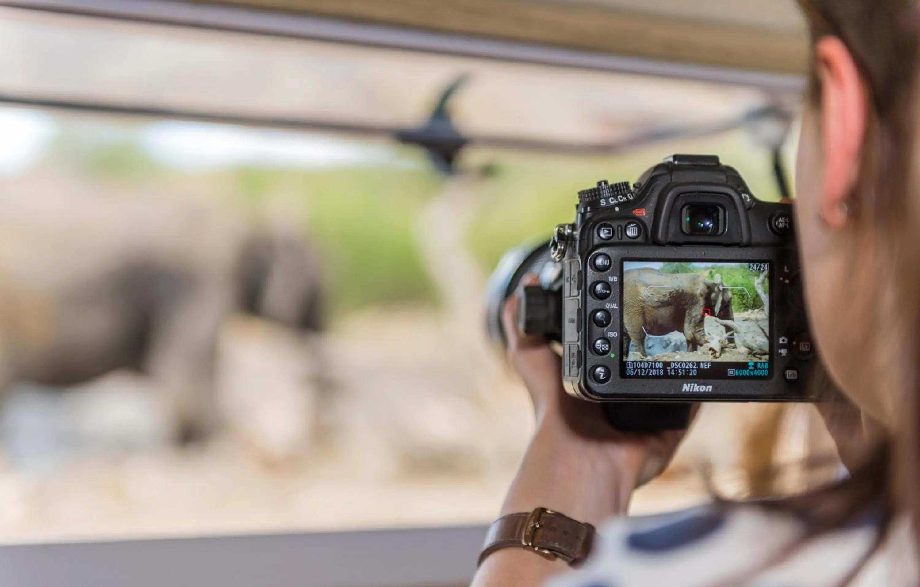 Property building in Impodimo Game Lodge