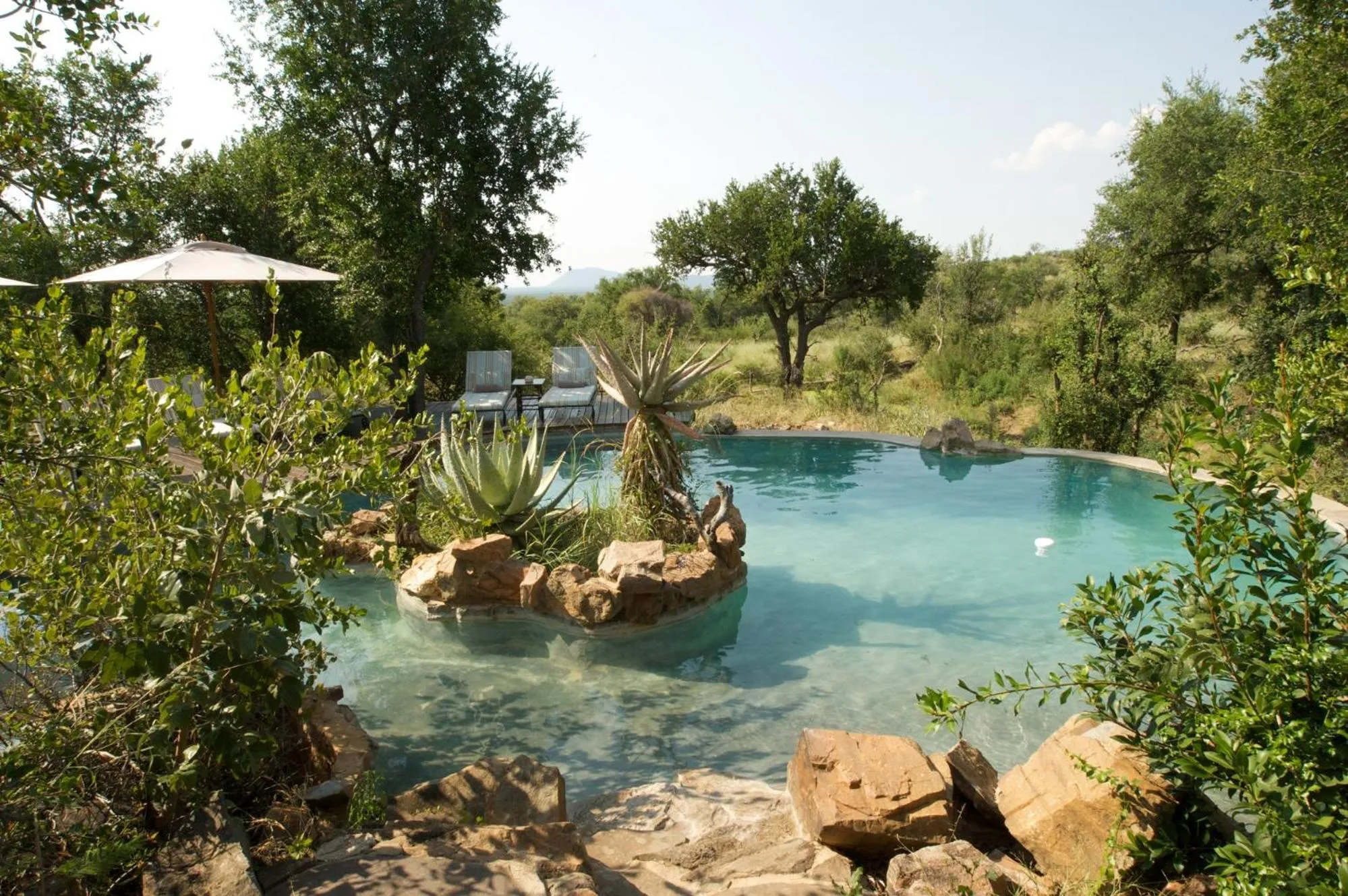 Swimming pool in Impodimo Game Lodge