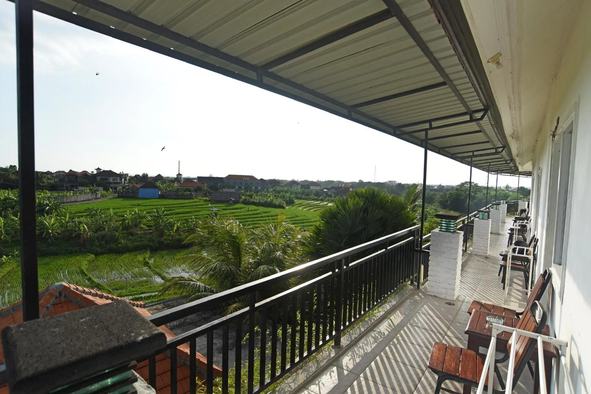 Balcony/Terrace in Grandpa Guest House