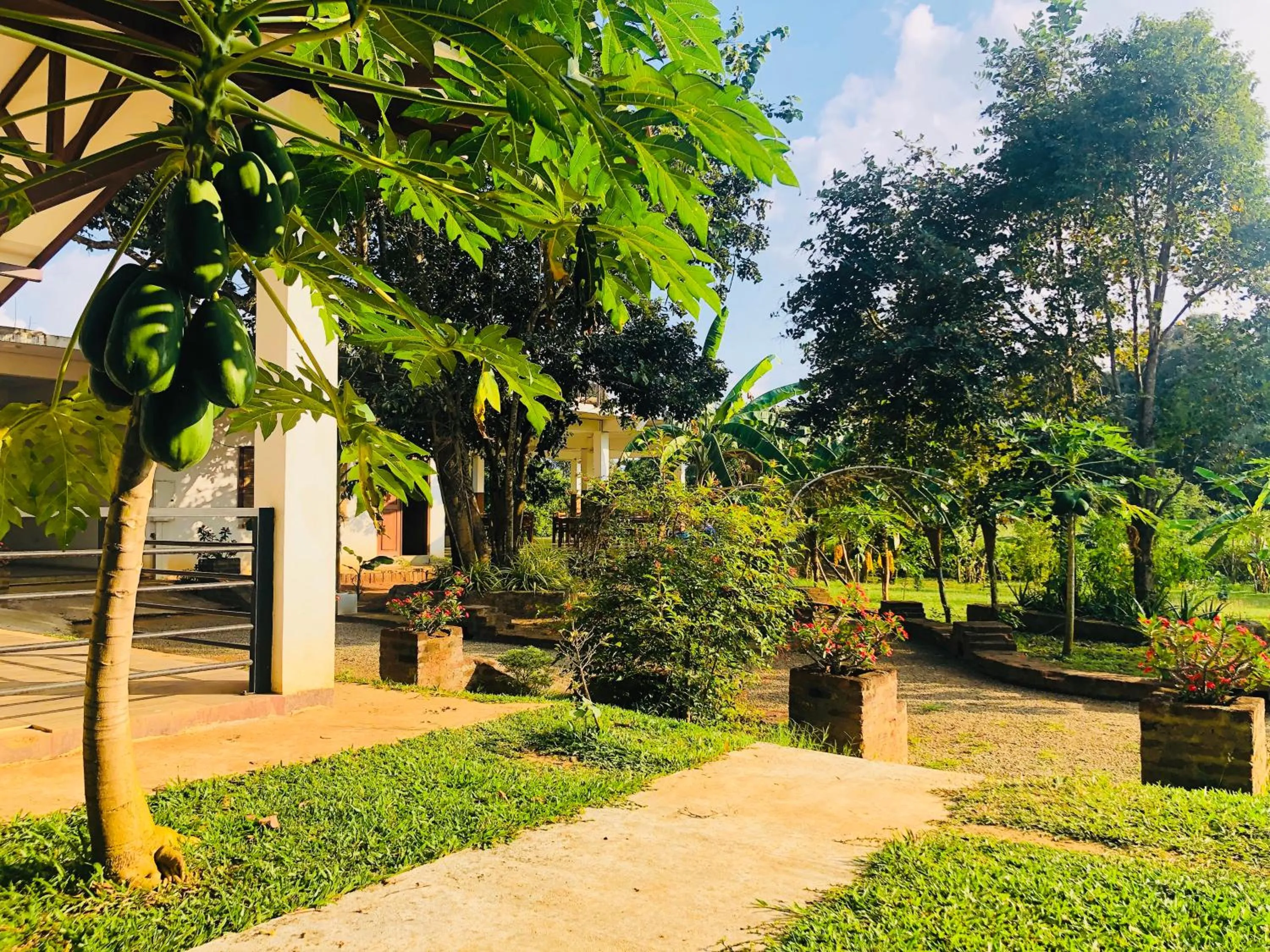 Garden in Into The Wild Sigiriya