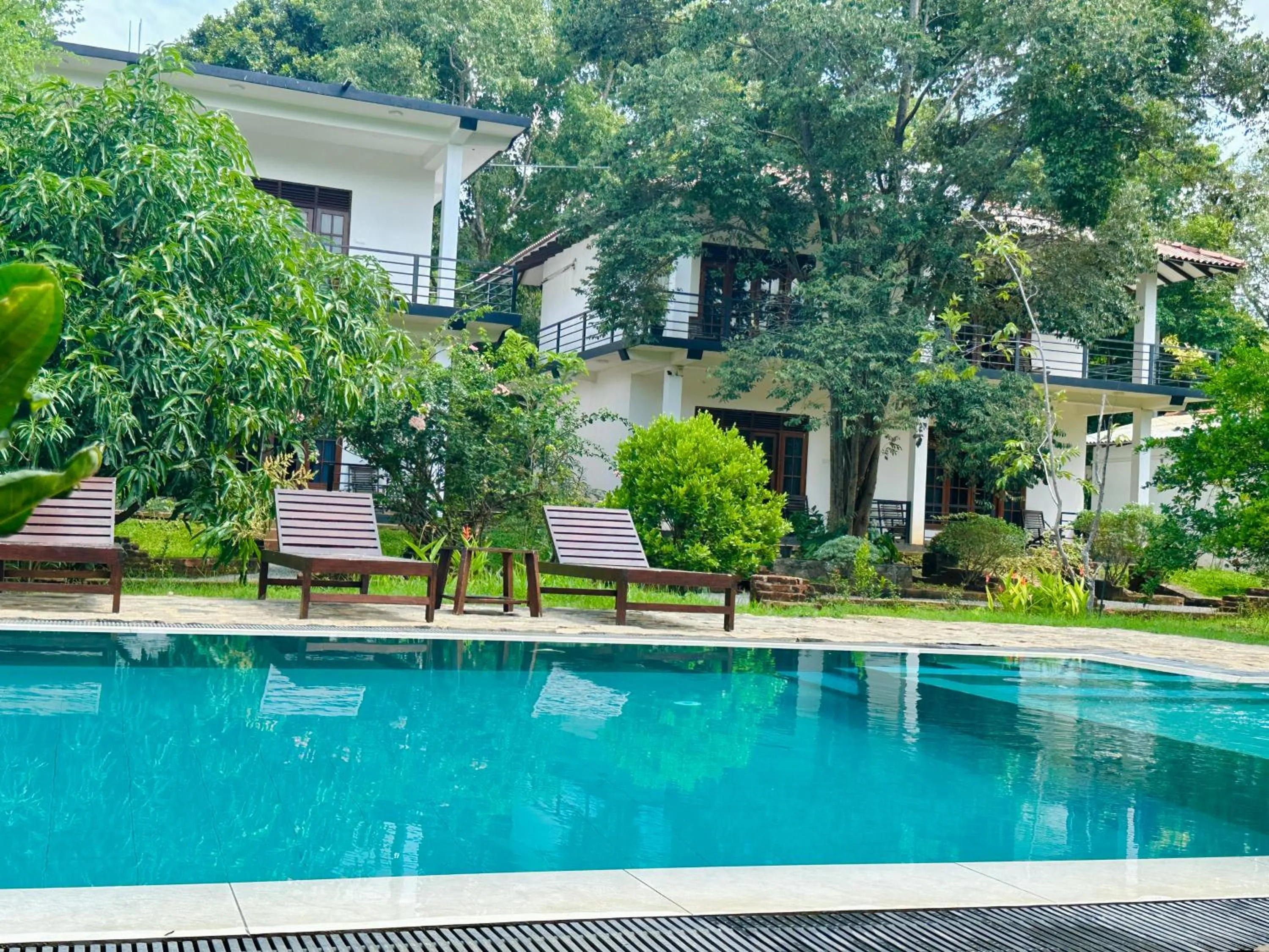 Swimming pool in Into The Wild Sigiriya