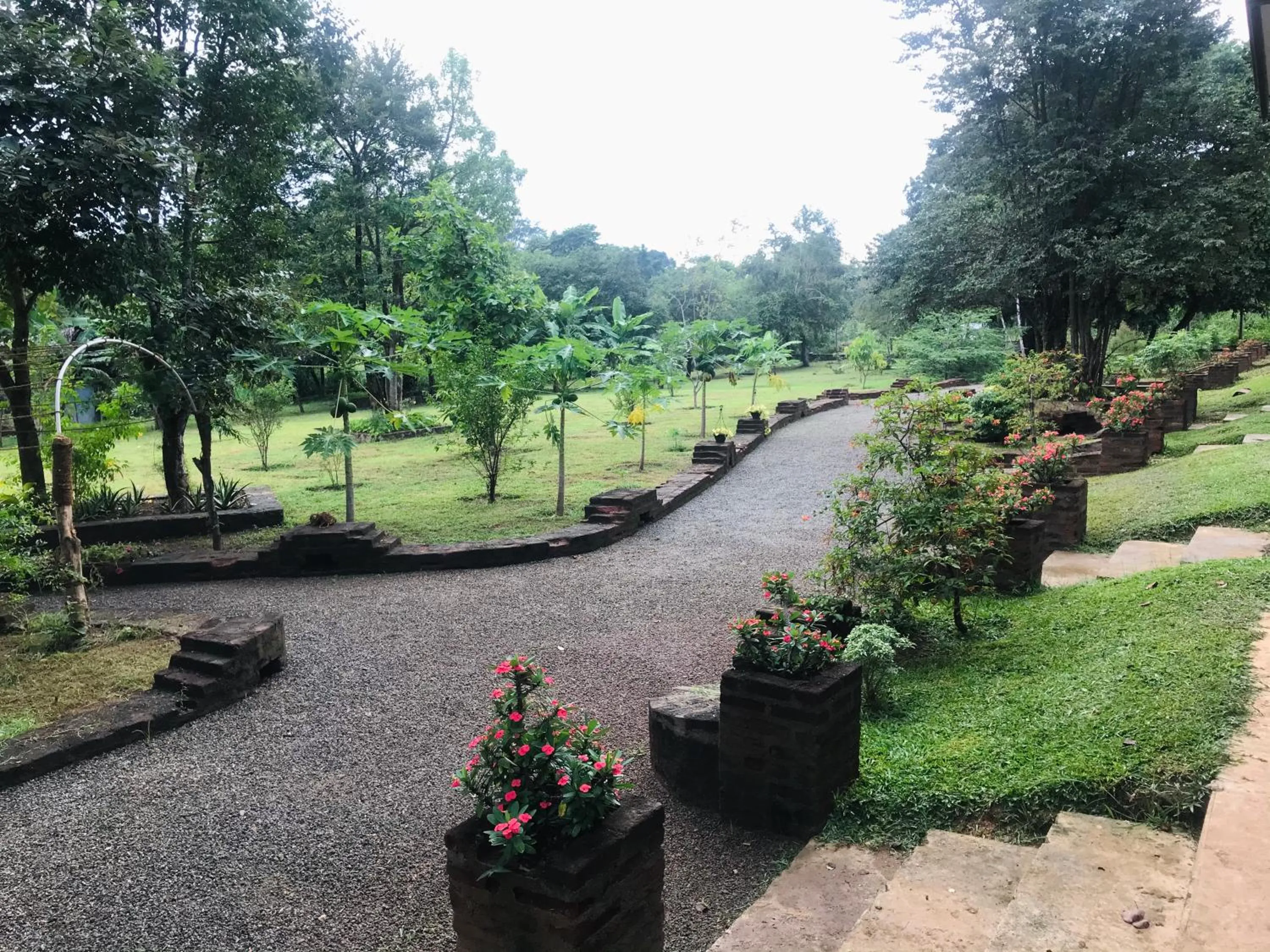 Garden in Into The Wild Sigiriya