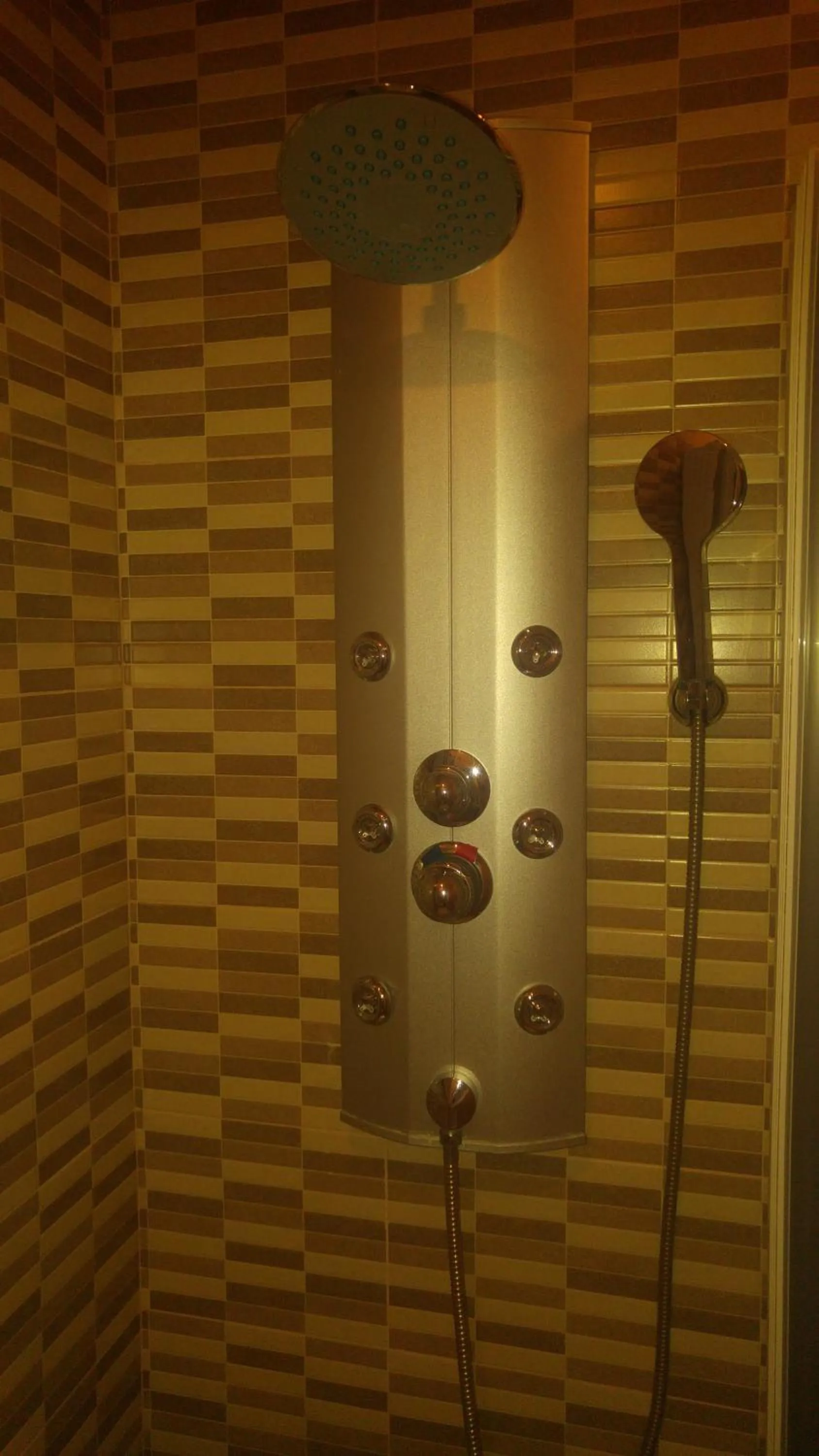 Shower in Hospederia V Centenario