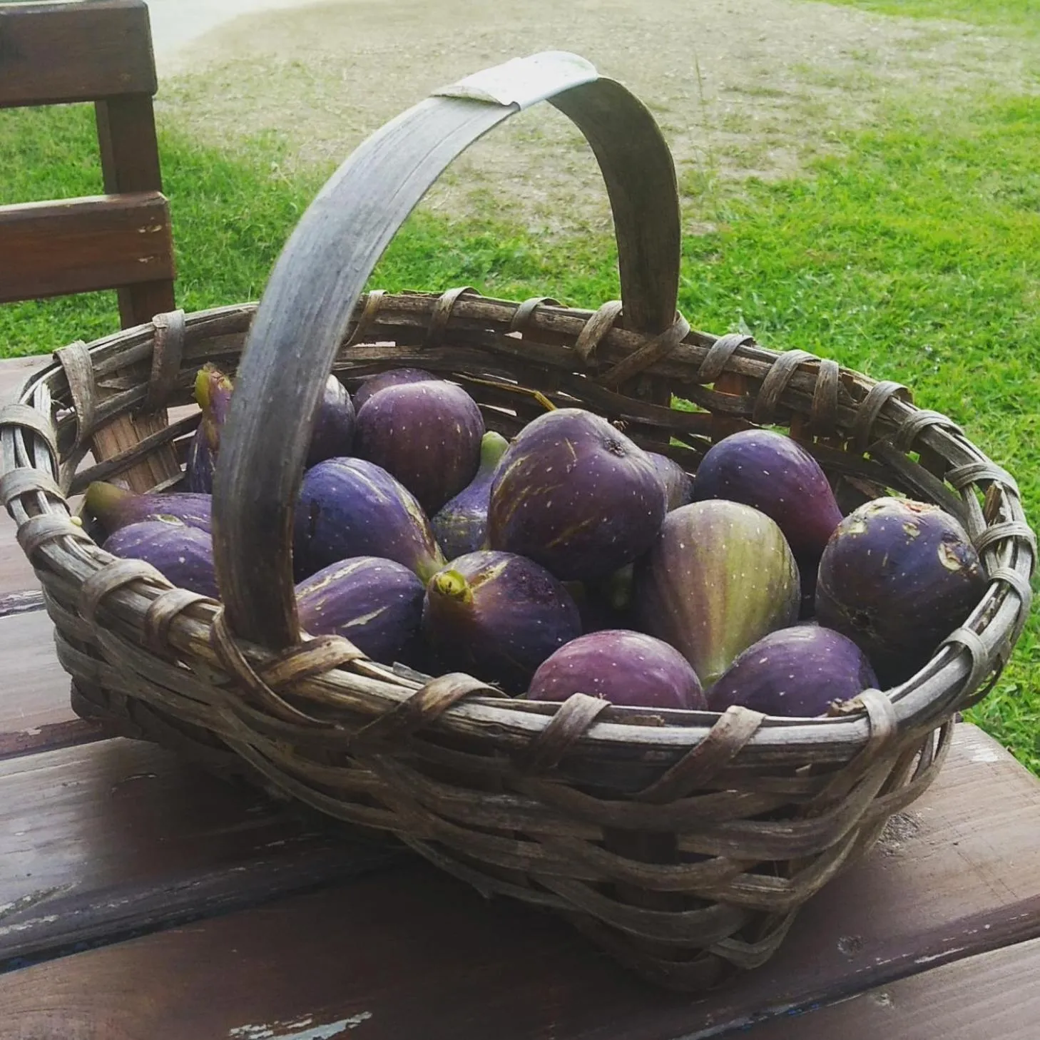 Hayat Oksijen Resort