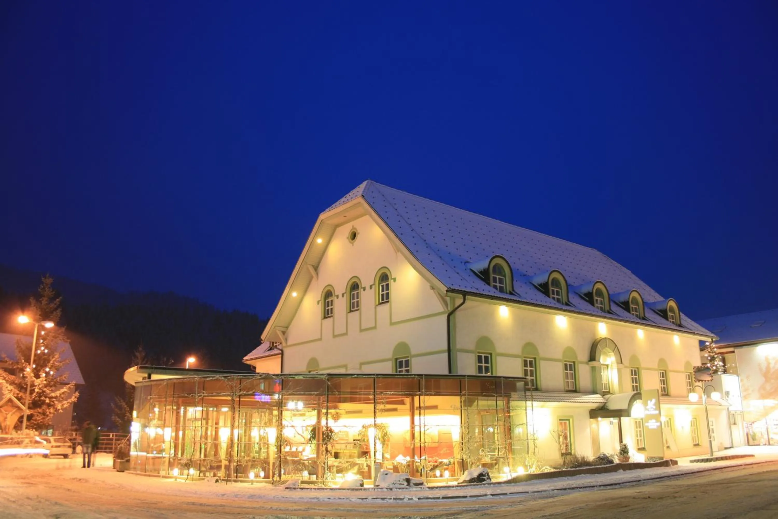Night in Hotel-Restaurant-Café Krainer