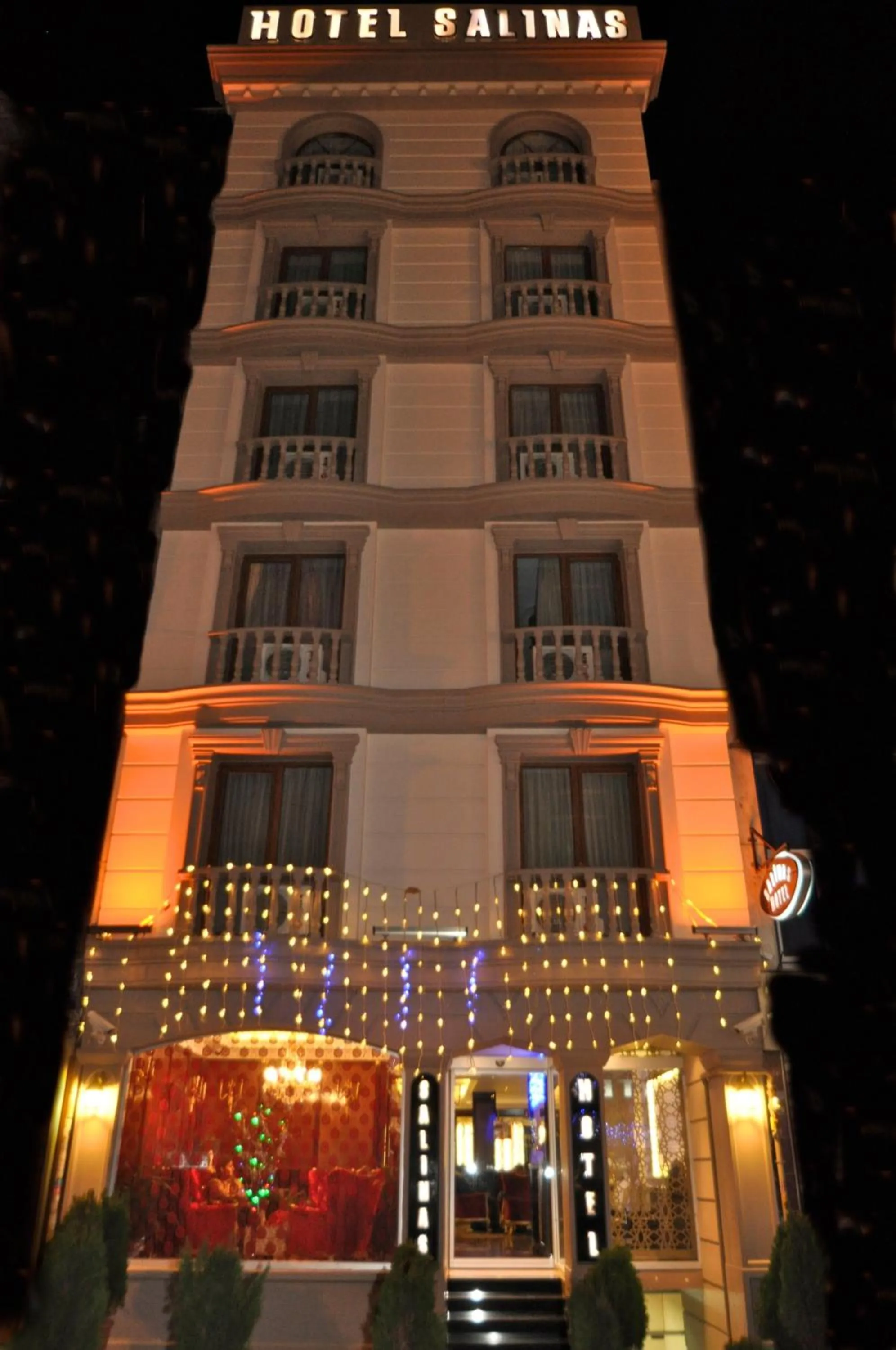 Facade/entrance, Property Building in Salinas Istanbul Hotel