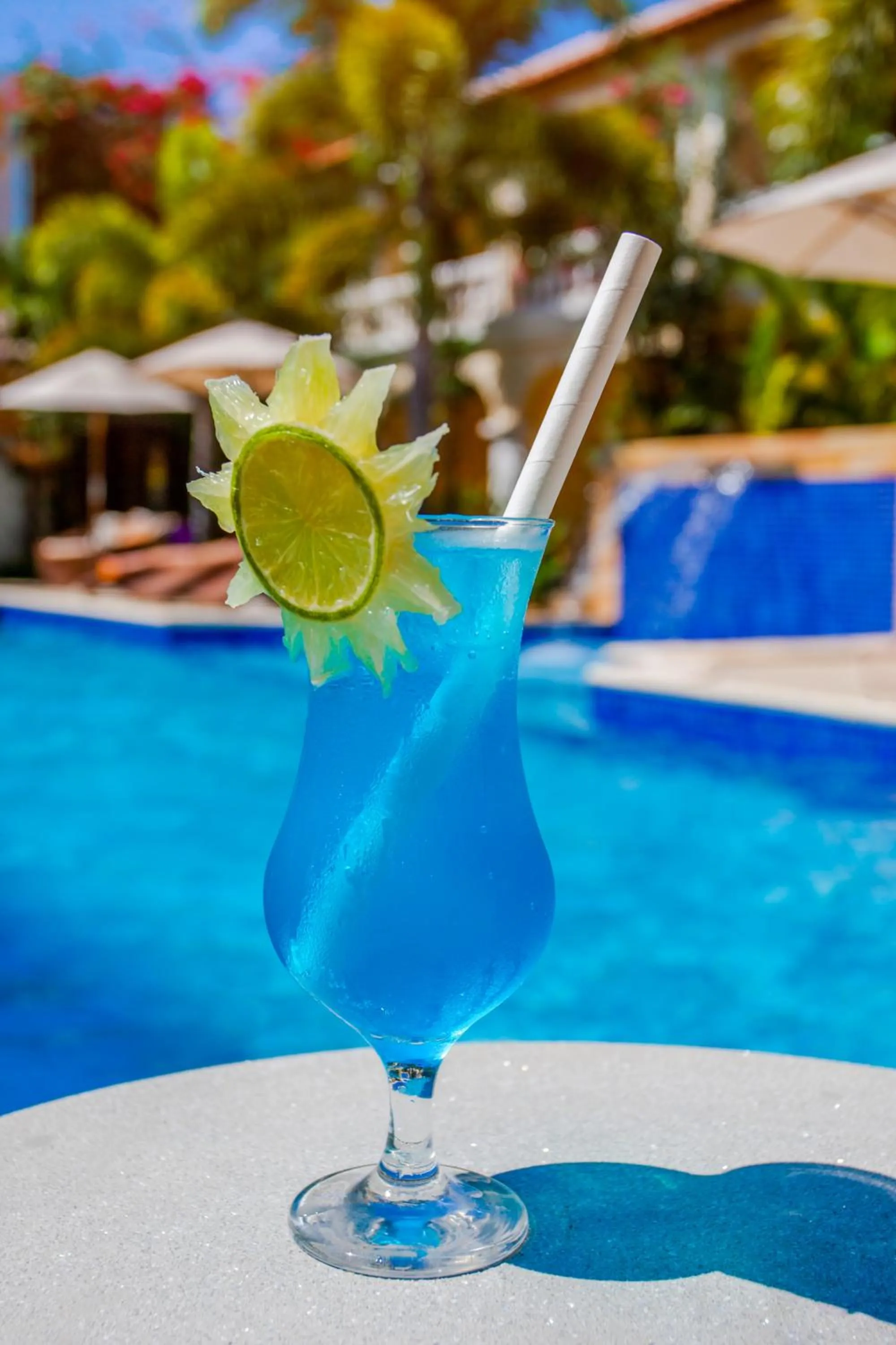 Lounge or bar in Hotel Villa Beija Flor