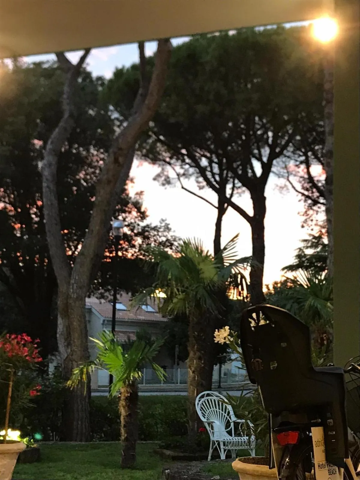 Natural landscape in Hotel Palm Beach