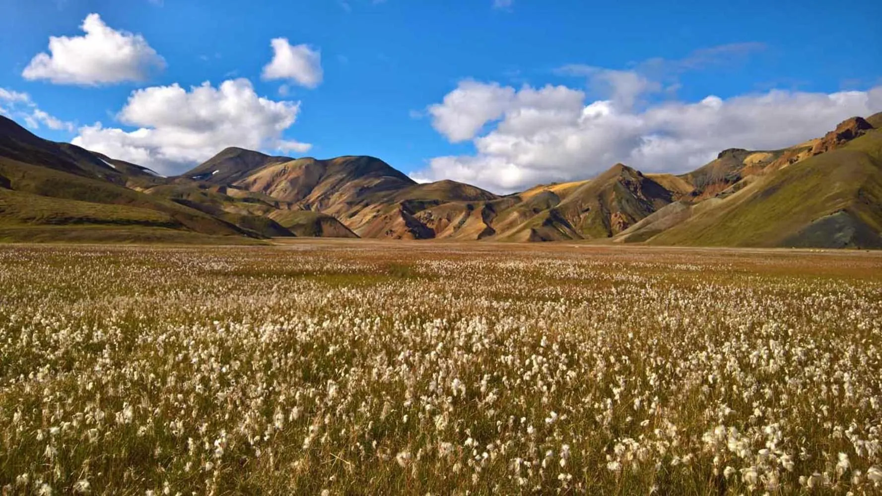 Natural landscape in Hotel Selja