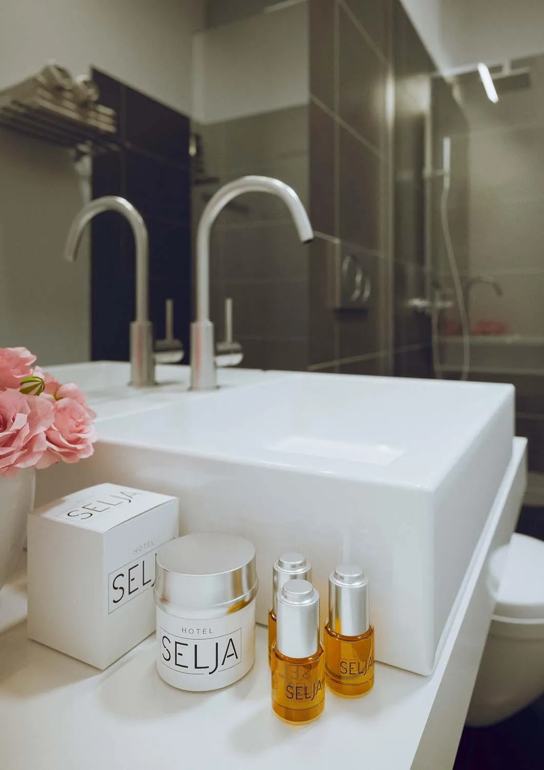 Toilet in Hotel Selja