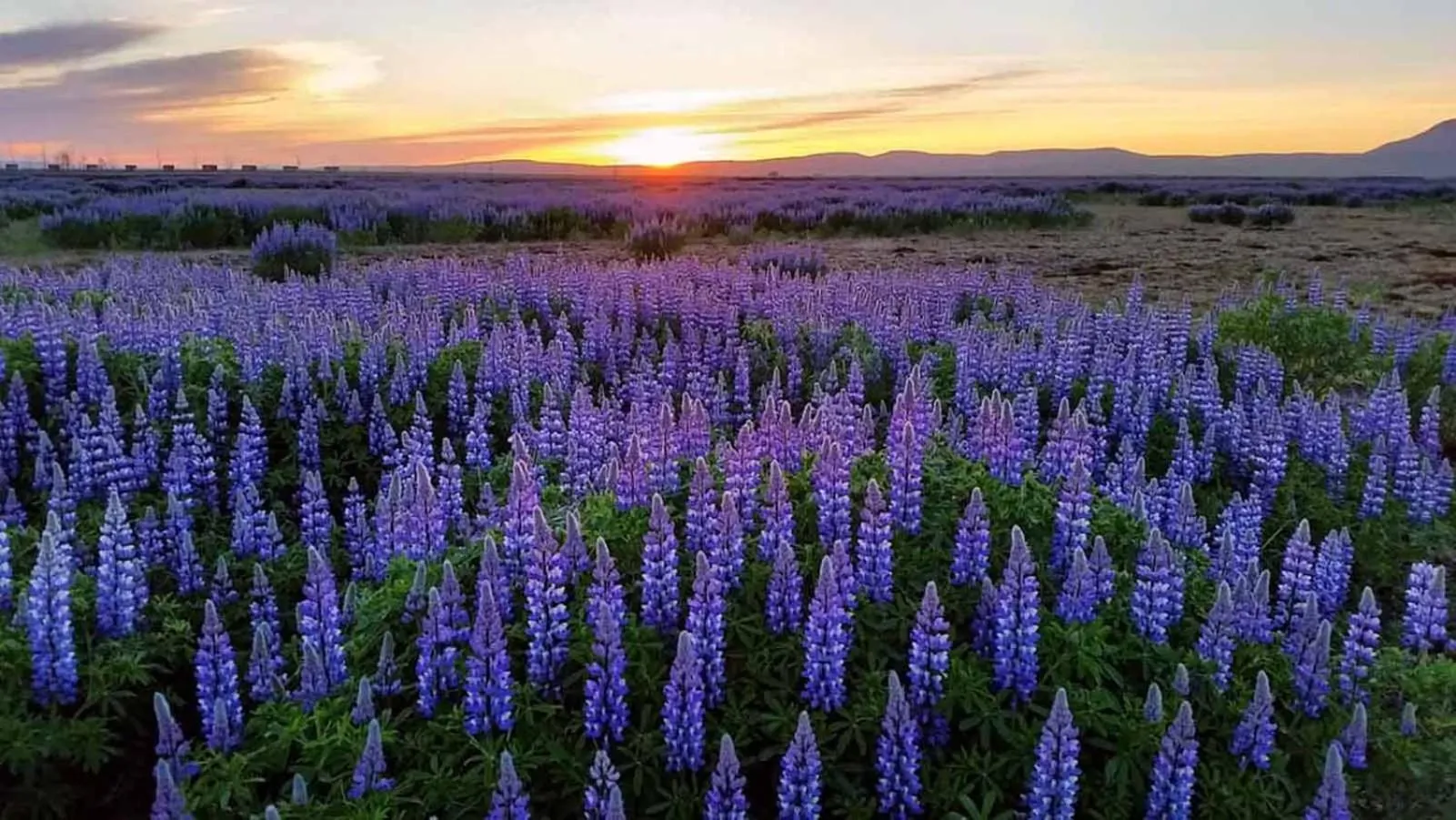 Natural landscape in Hotel Selja
