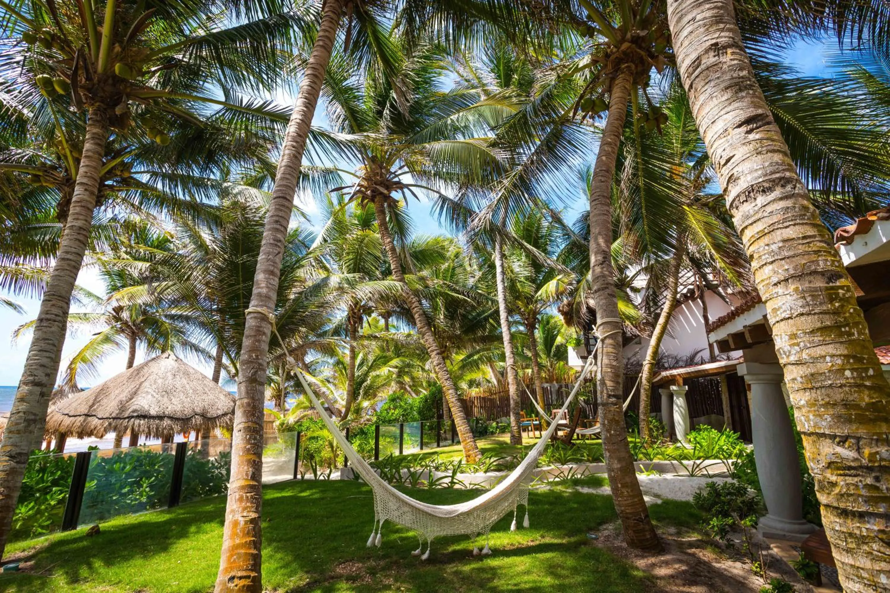 Natural landscape in Ana y Jose Tulum Hotel & Beach Club
