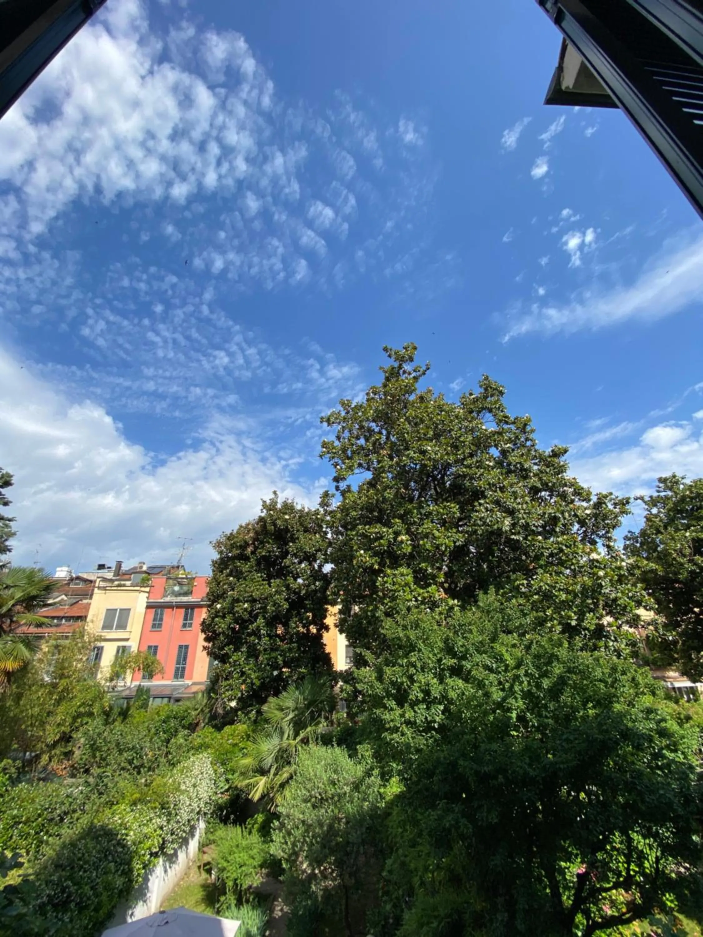 View (from property/room) in Hotel Due Giardini