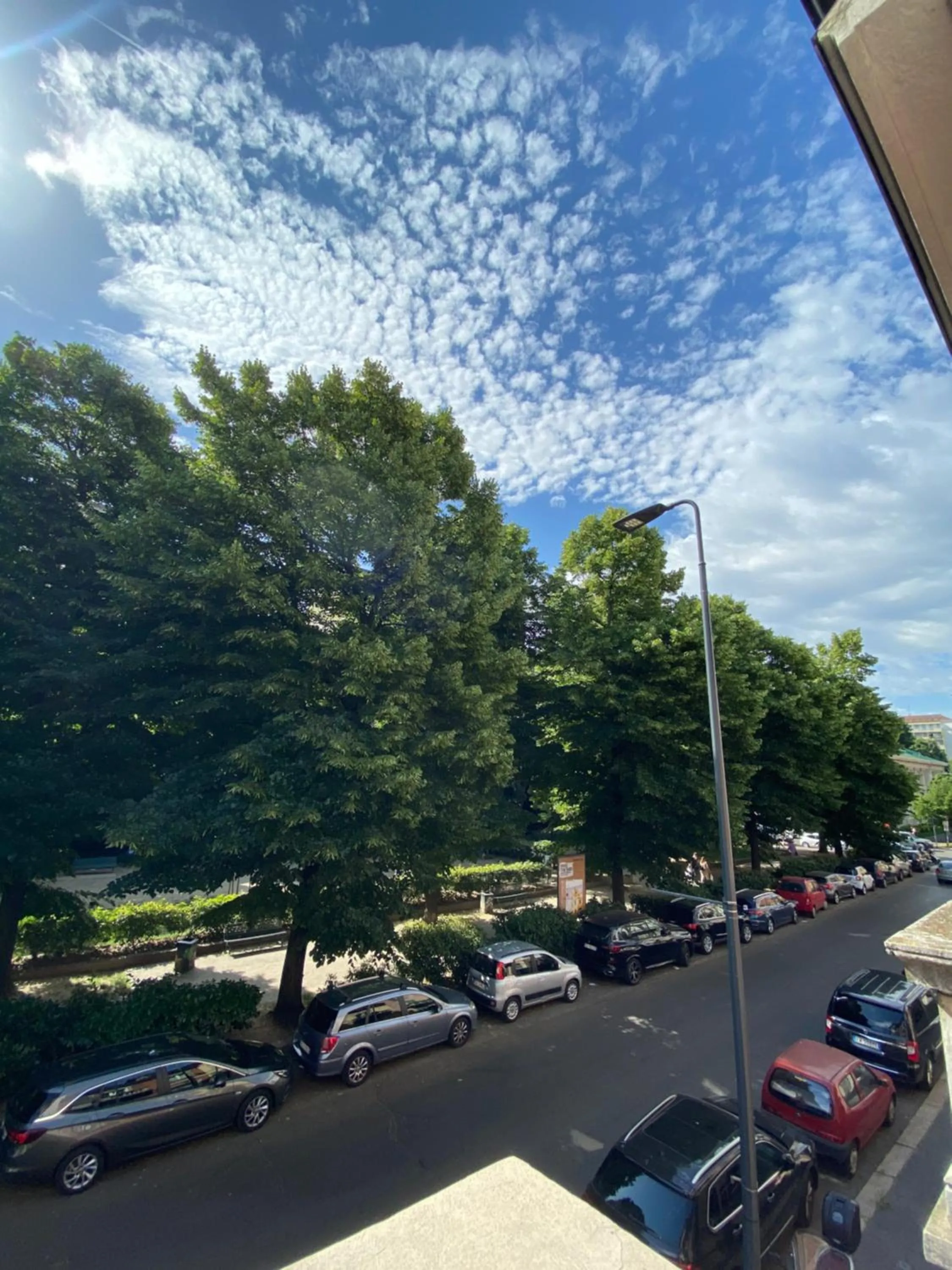 View (from property/room) in Hotel Due Giardini