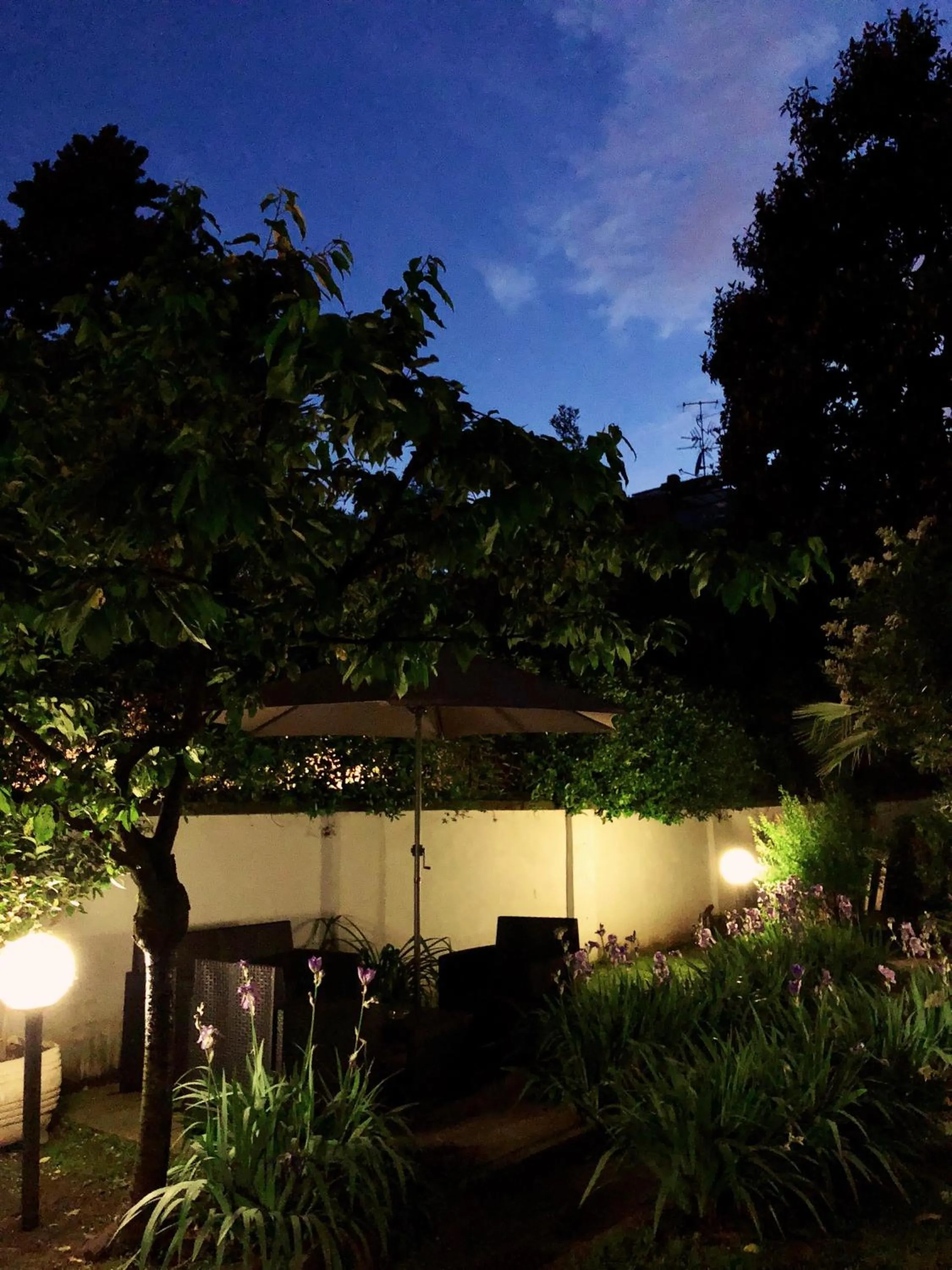 Garden in Hotel Due Giardini