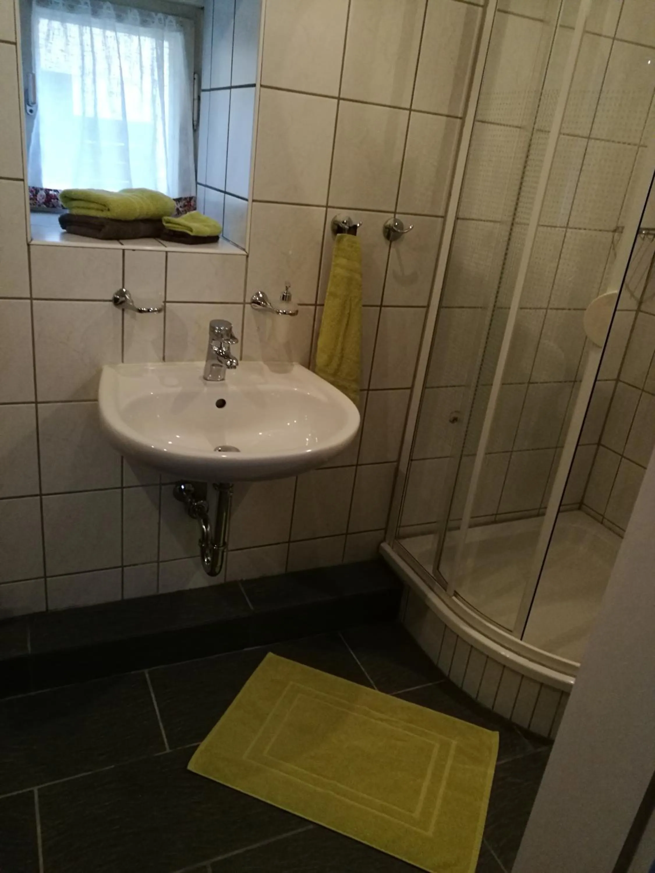 Shower in Elbhangzimmer Dresden