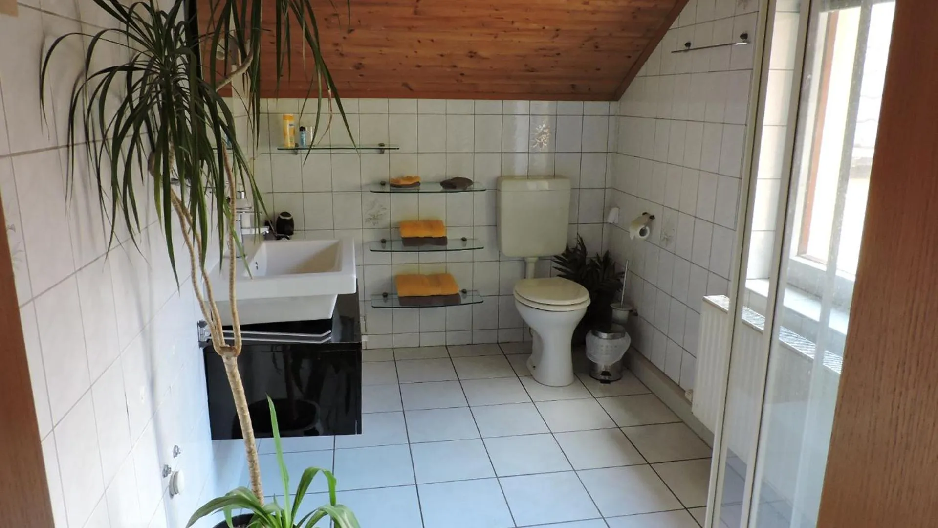 Decorative detail in Elbhangzimmer Dresden