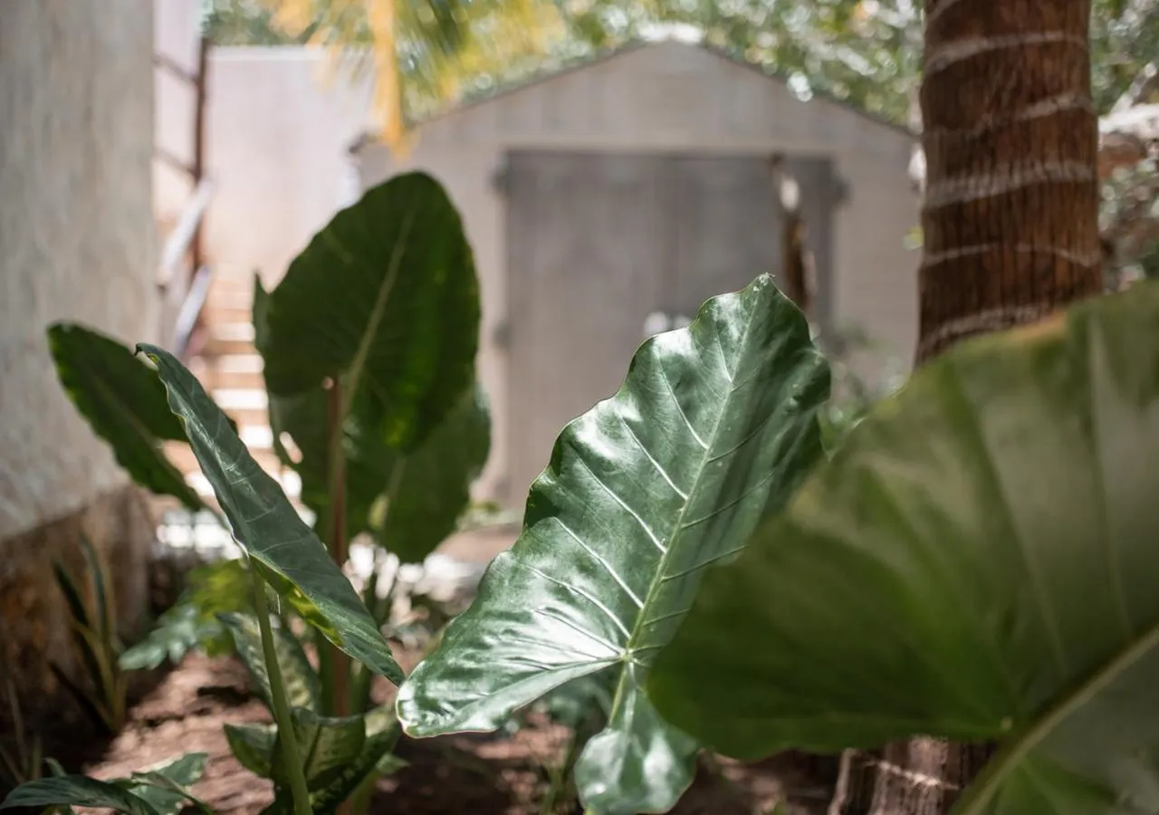 Decorative detail in Villa Los Mangles Boutique Hotel
