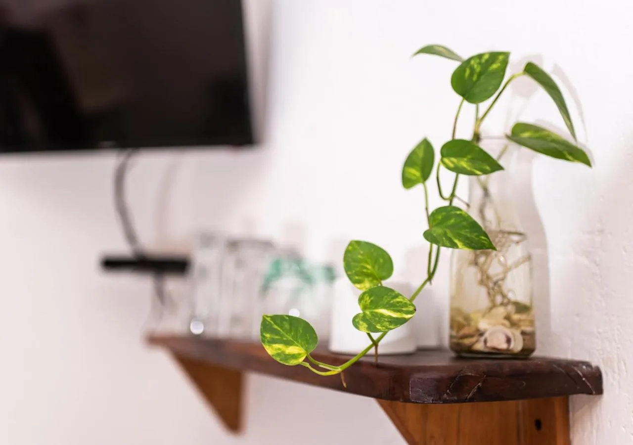 Decorative detail in Villa Los Mangles Boutique Hotel