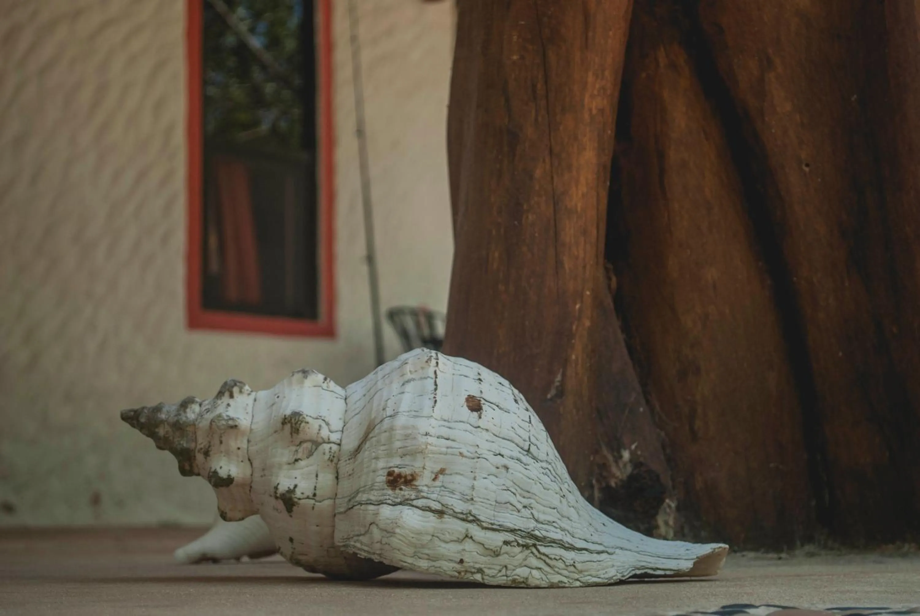 Decorative detail in Villa Los Mangles Boutique Hotel