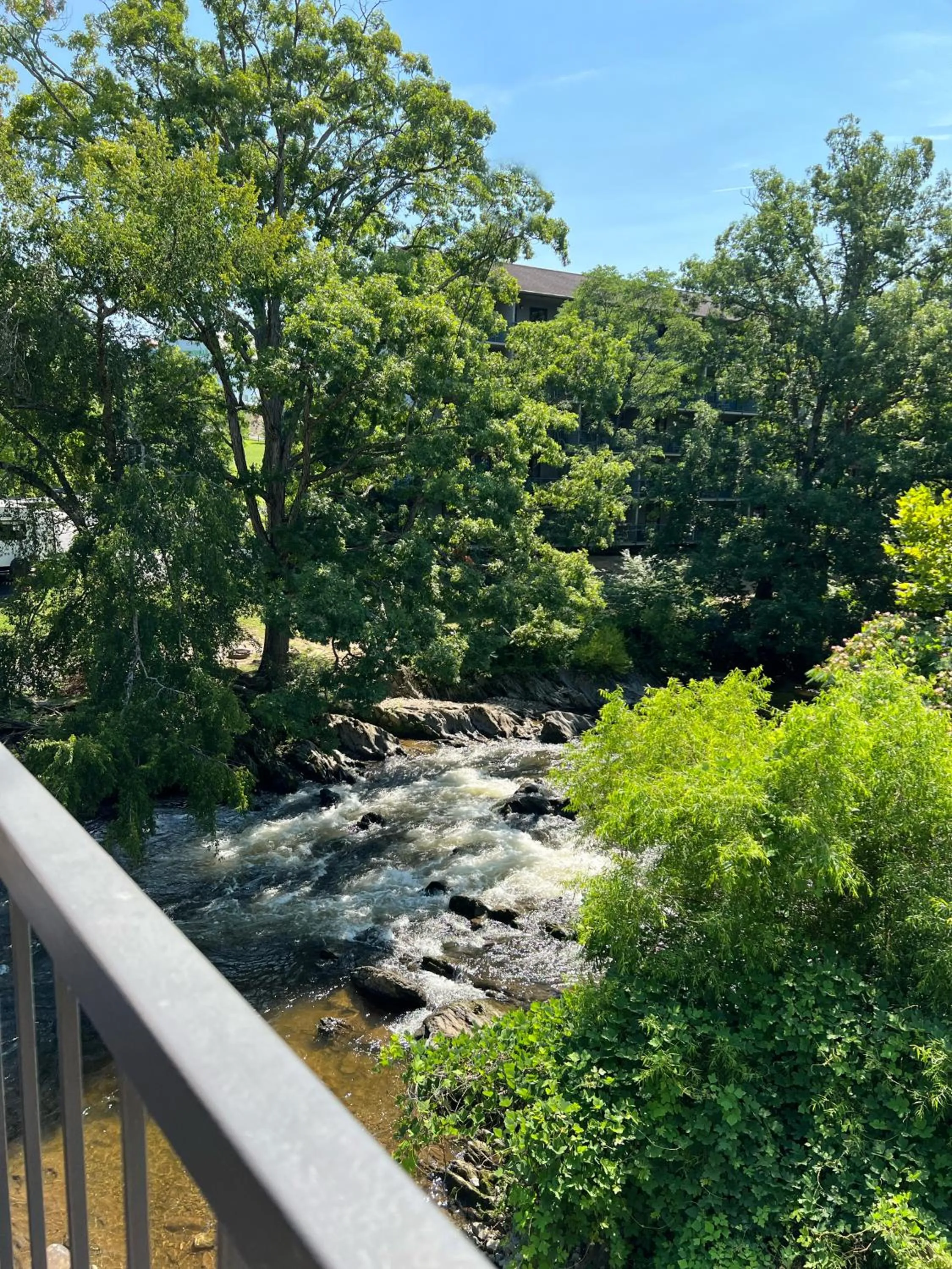 View (from property/room) in Creekstone Inn