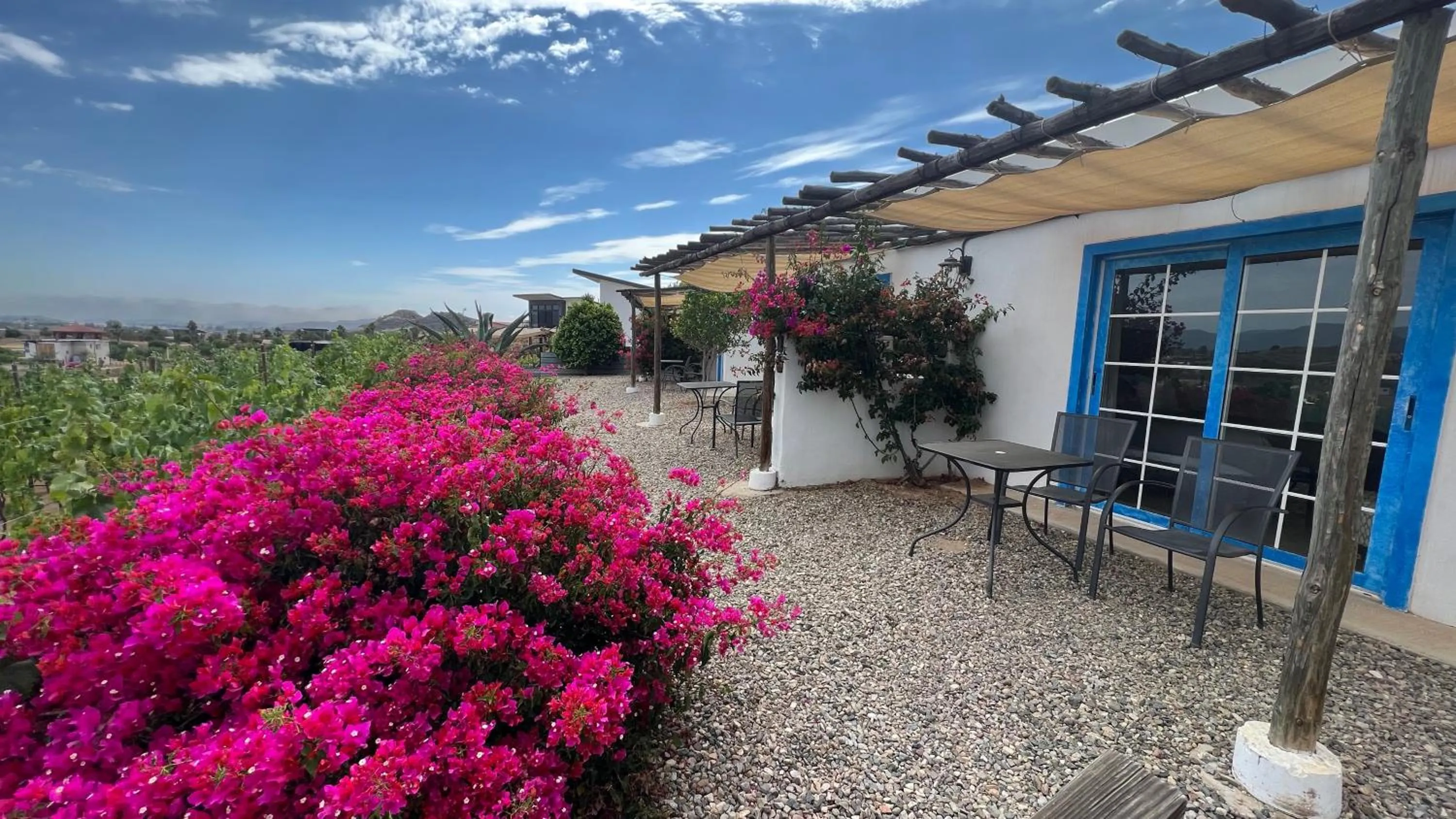 Patio in Santerra, Valle de Guadalupe