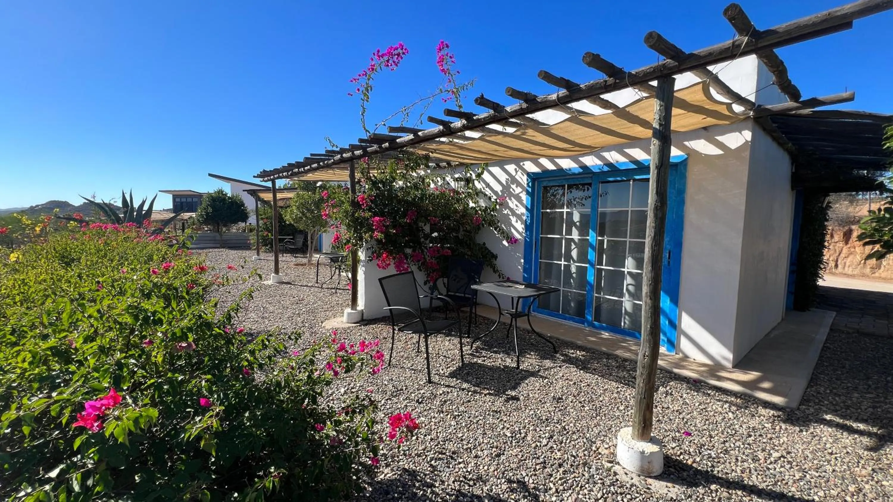 Garden in Santerra, Valle de Guadalupe