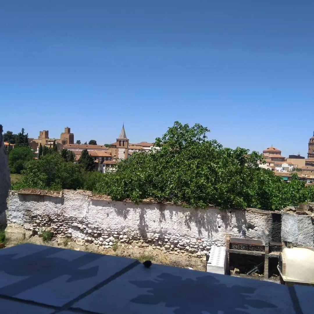 Garden view in La Casona de la Luz