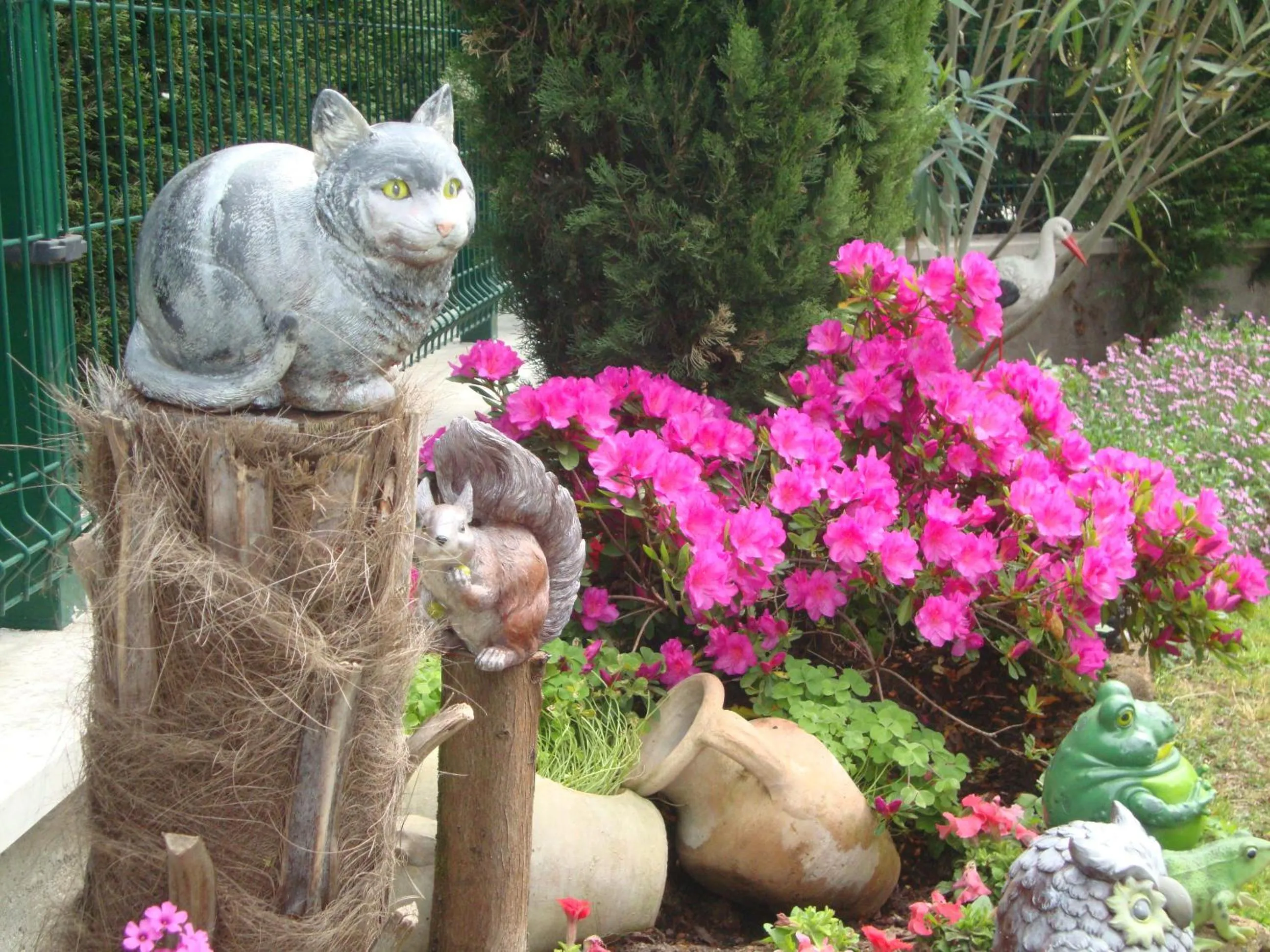 Garden view in B&B Milu'