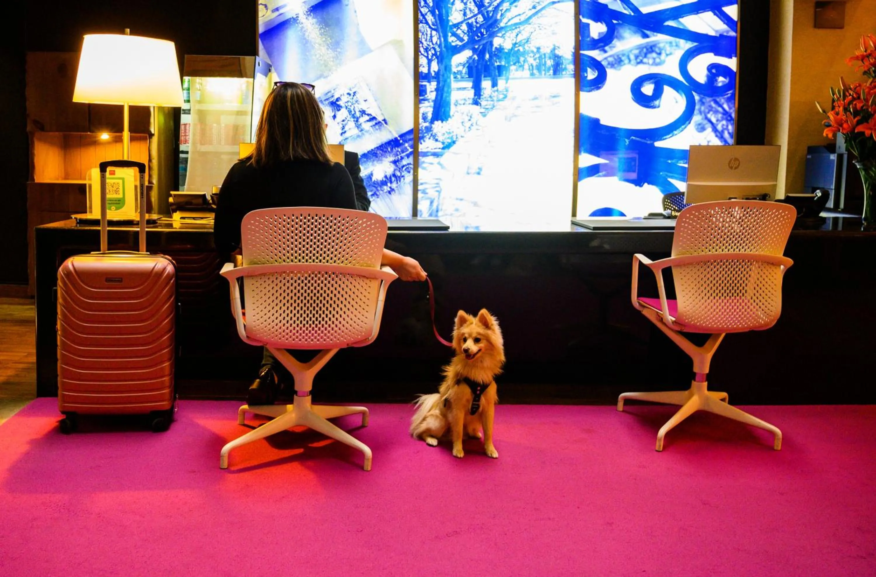 pet friendly in Las Suites Campos Eliseos