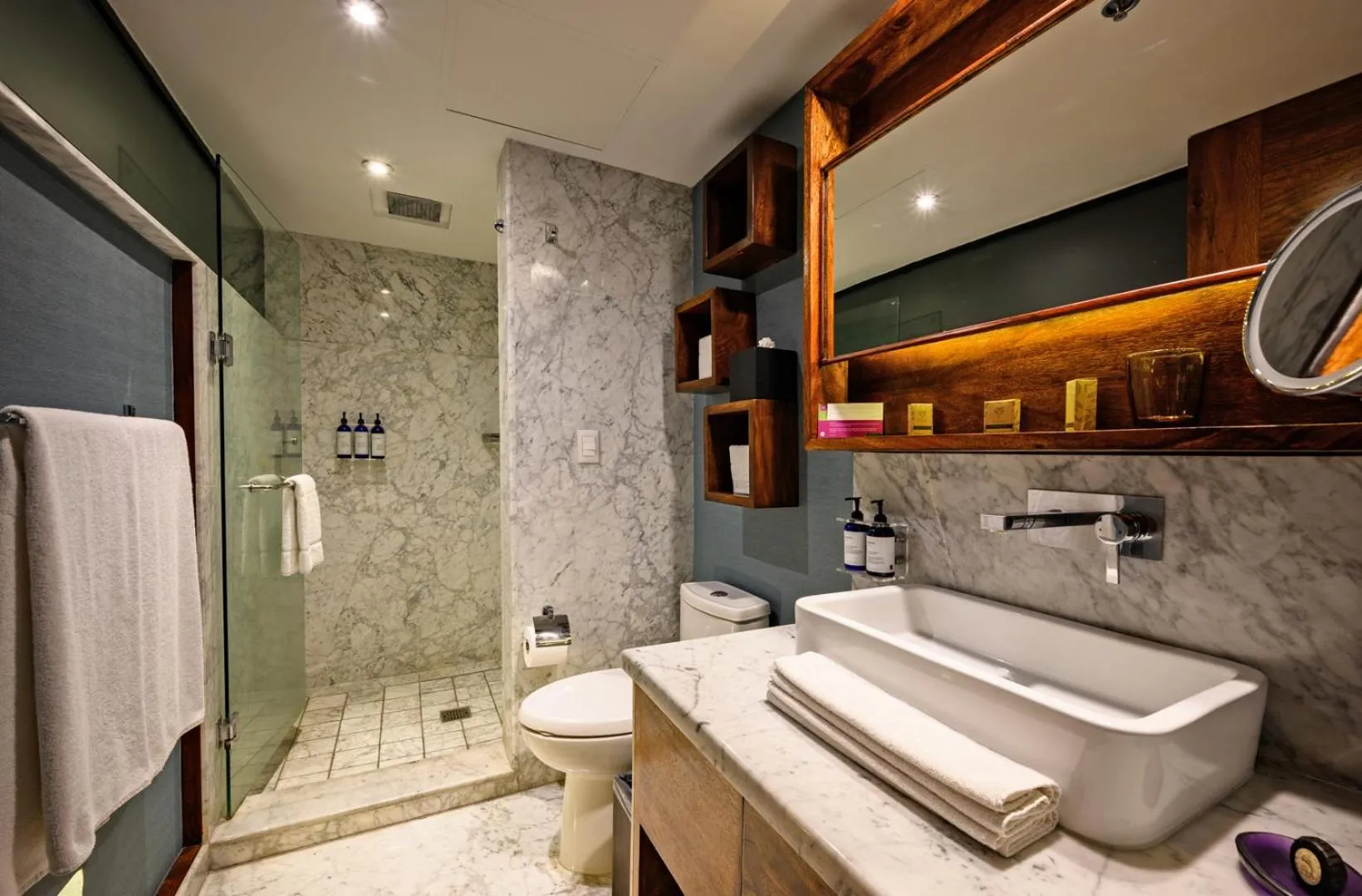 Toilet in Las Suites Campos Eliseos