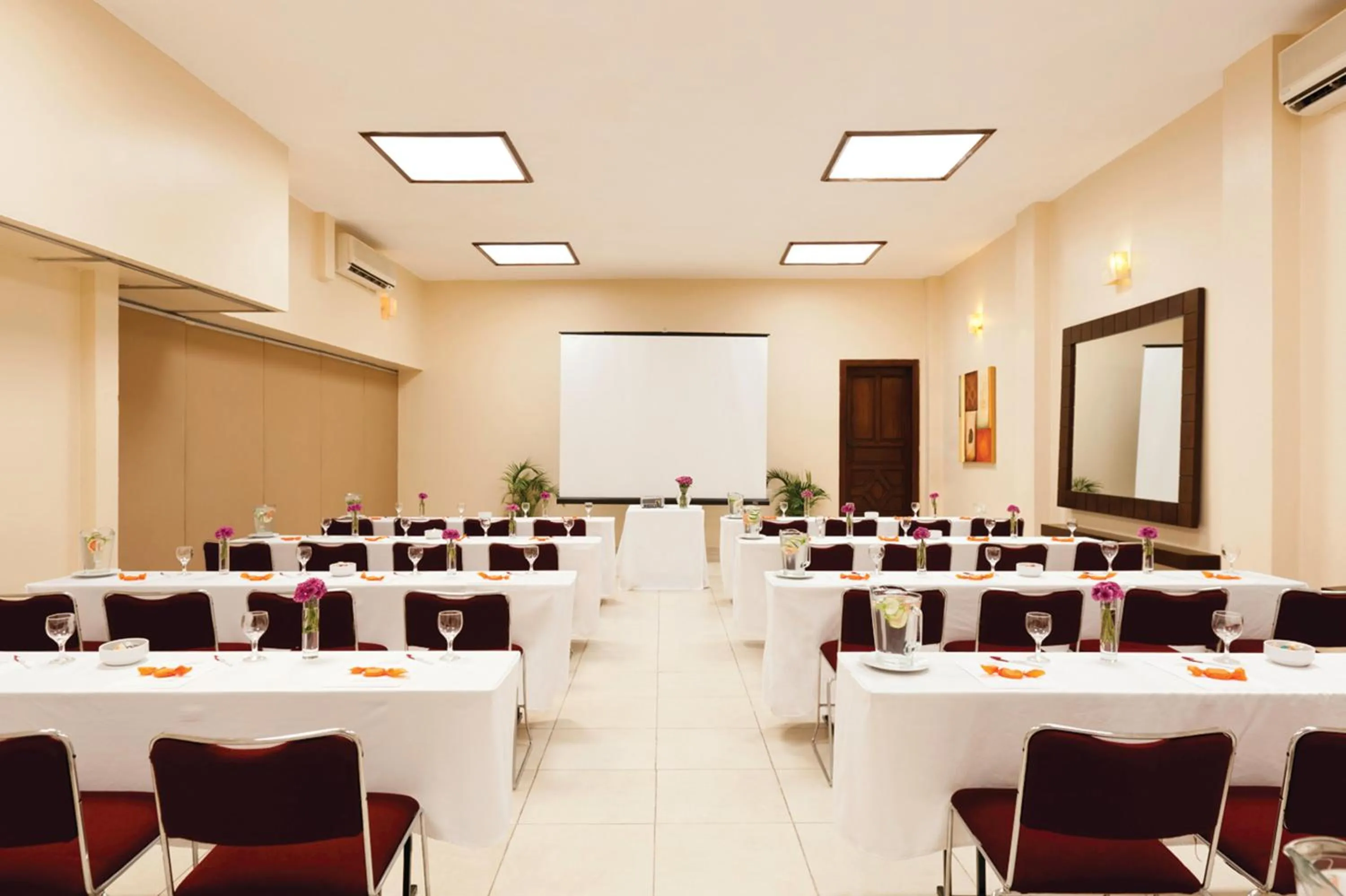 Meeting/conference room in Mision San Miguel de Allende