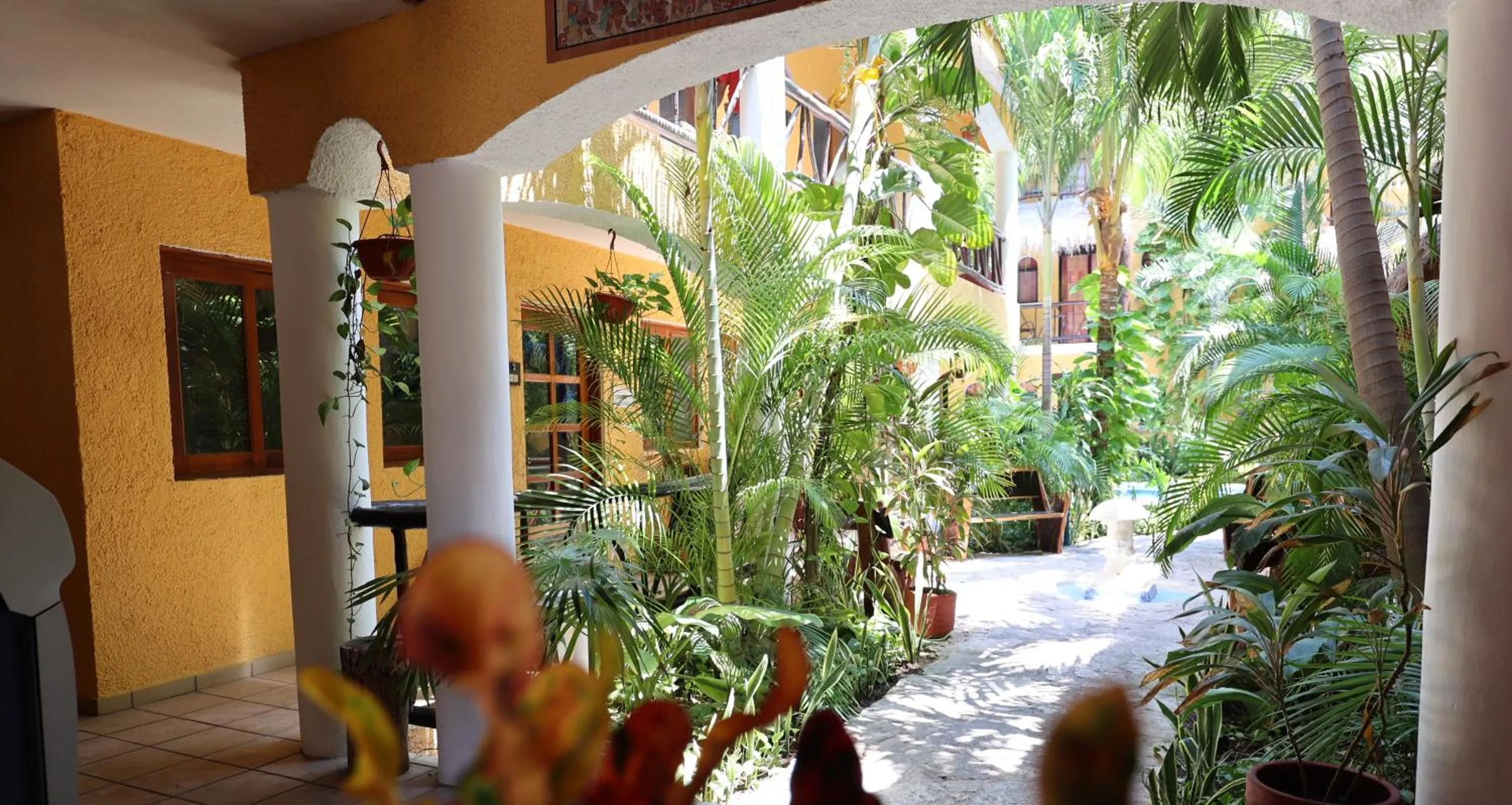 Garden in Hotel Bosque Caribe, 5th Av. zone