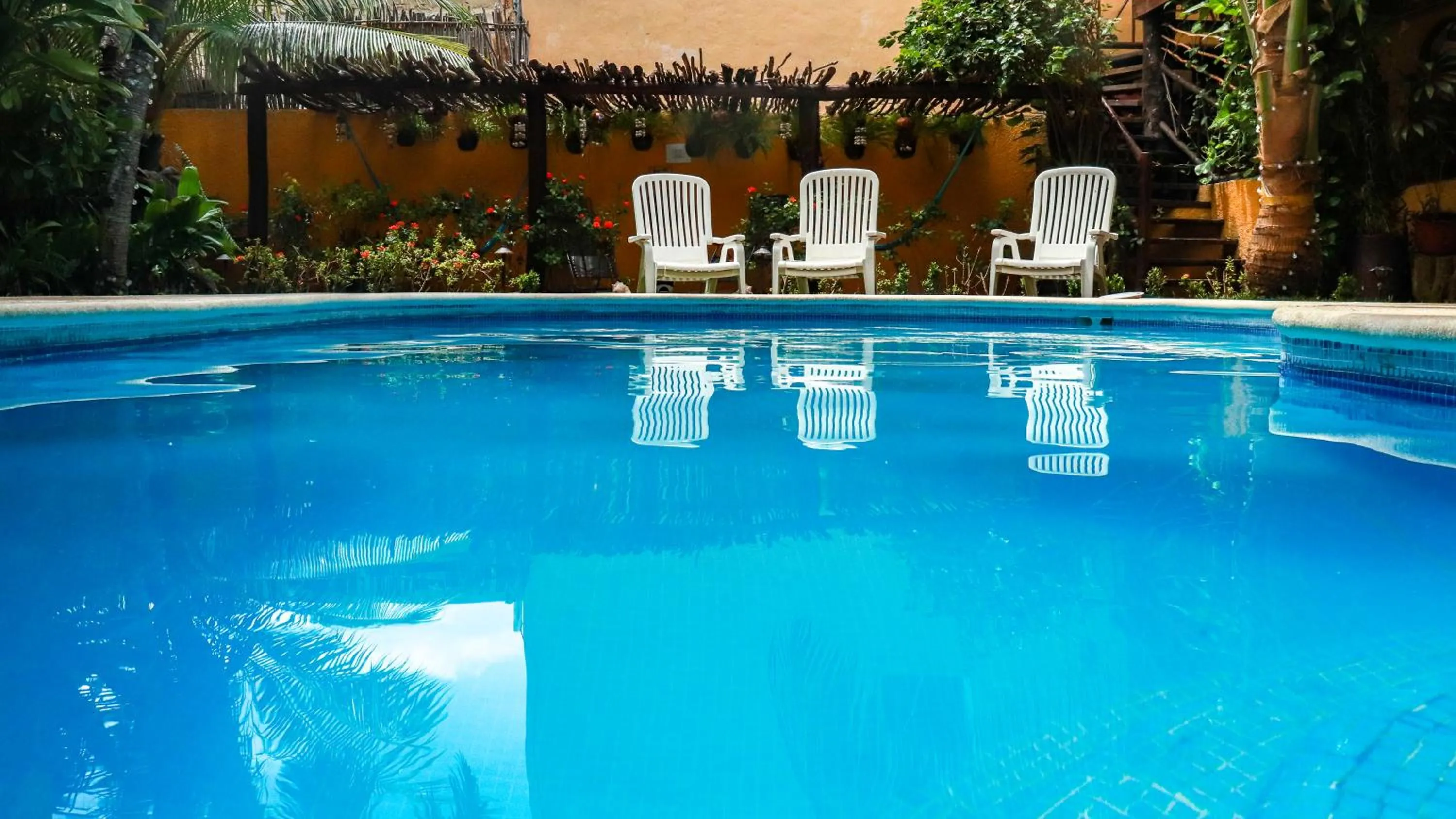 Swimming pool in Hotel Bosque Caribe, 5th Av. zone