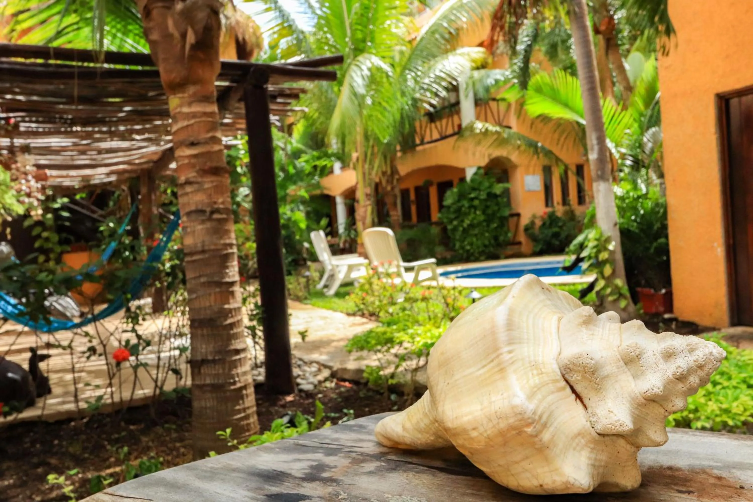 Garden in Hotel Bosque Caribe, 5th Av. zone