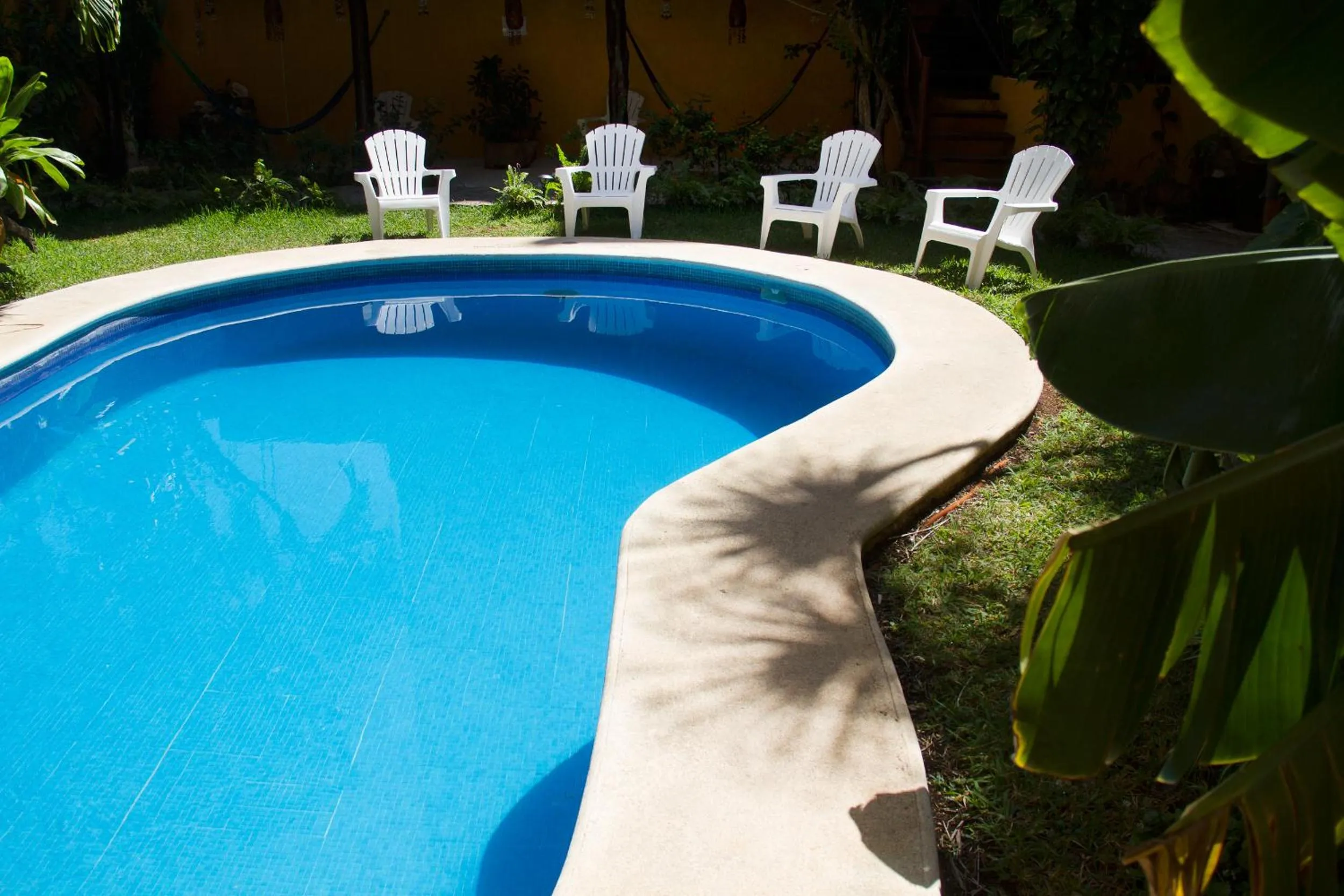 Garden in Hotel Bosque Caribe, 5th Av. zone