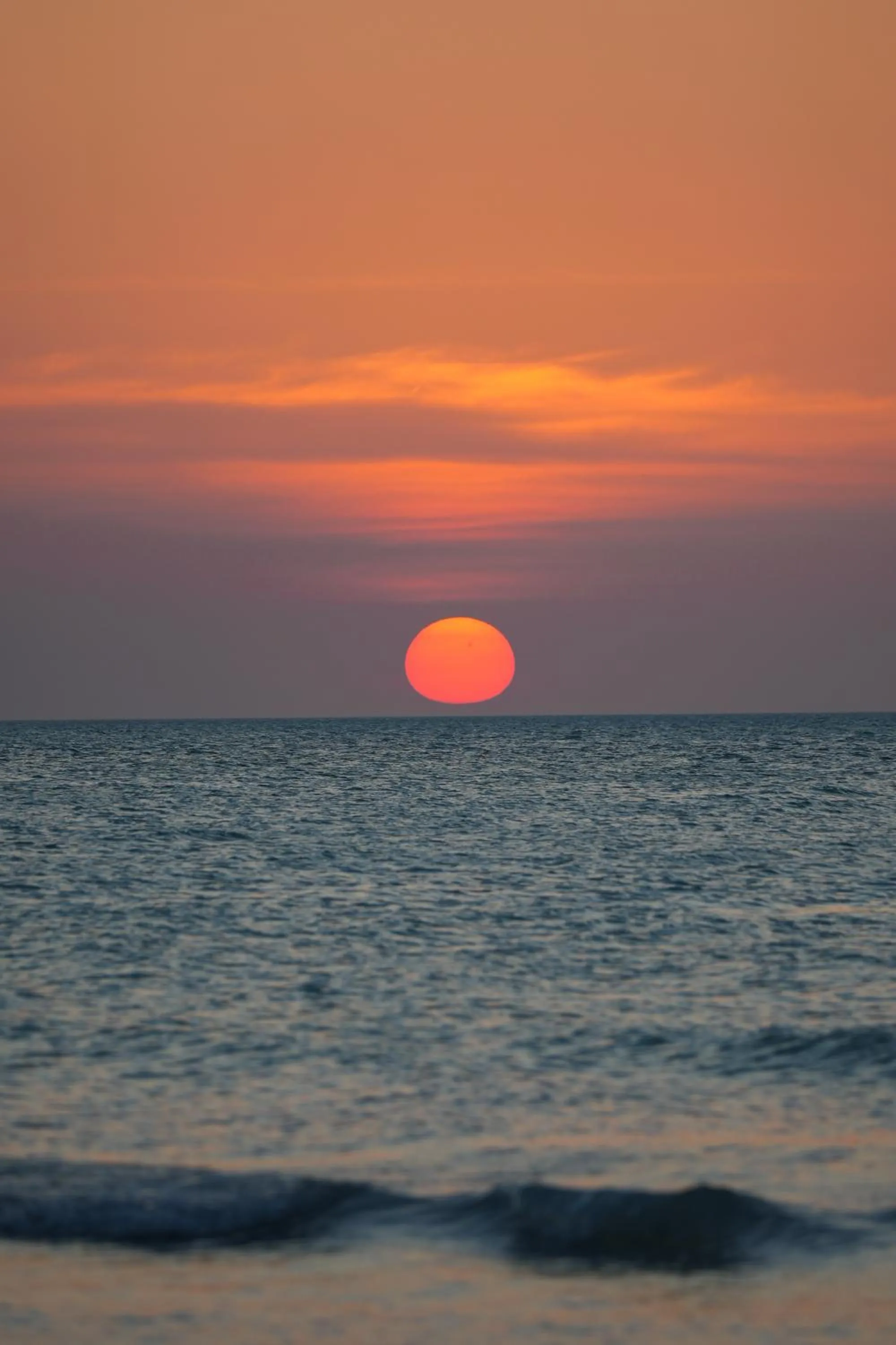 Natural landscape in Casa Las Tortugas Petit Beach Hotel & Spa