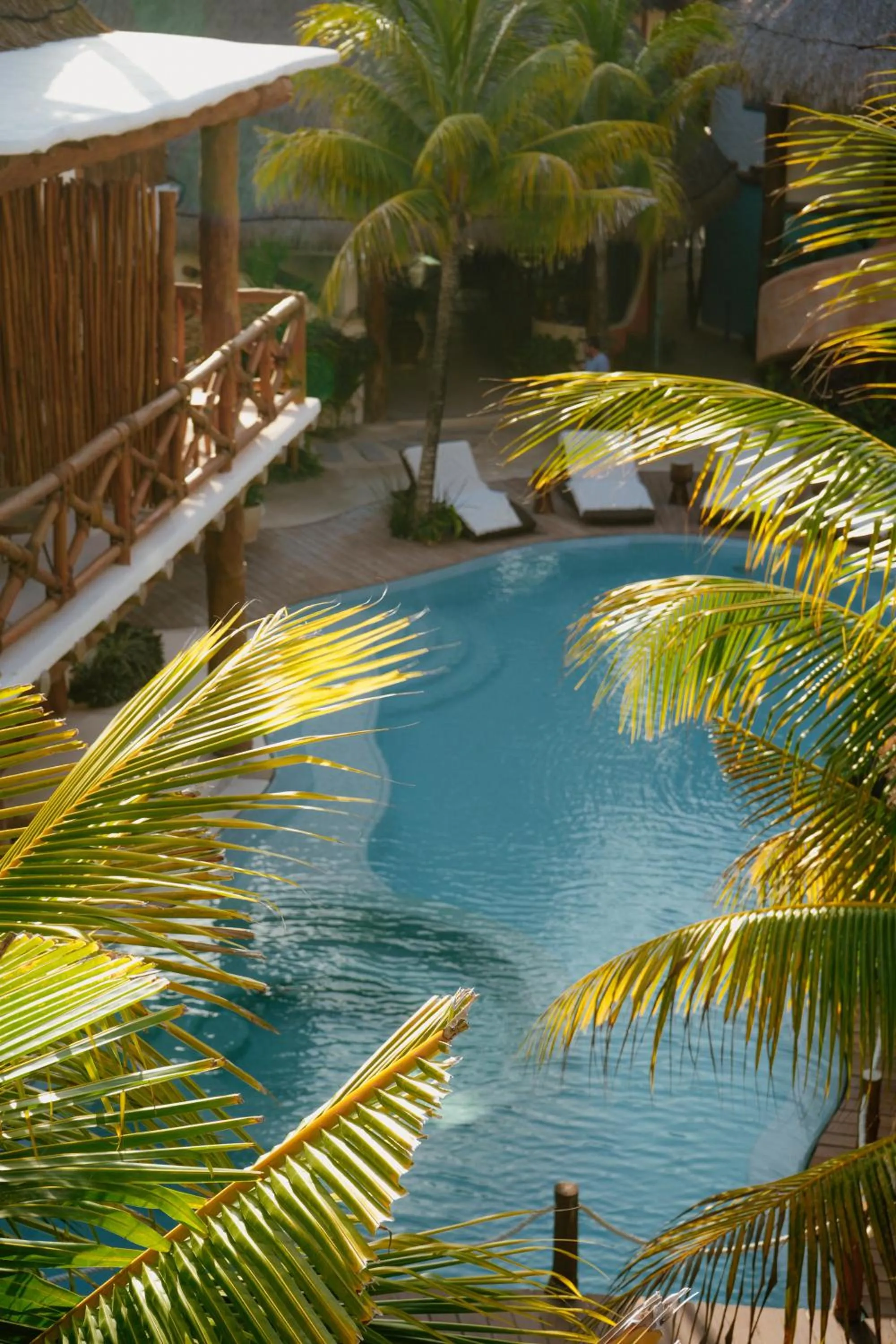 Garden in Casa Las Tortugas Petit Beach Hotel & Spa