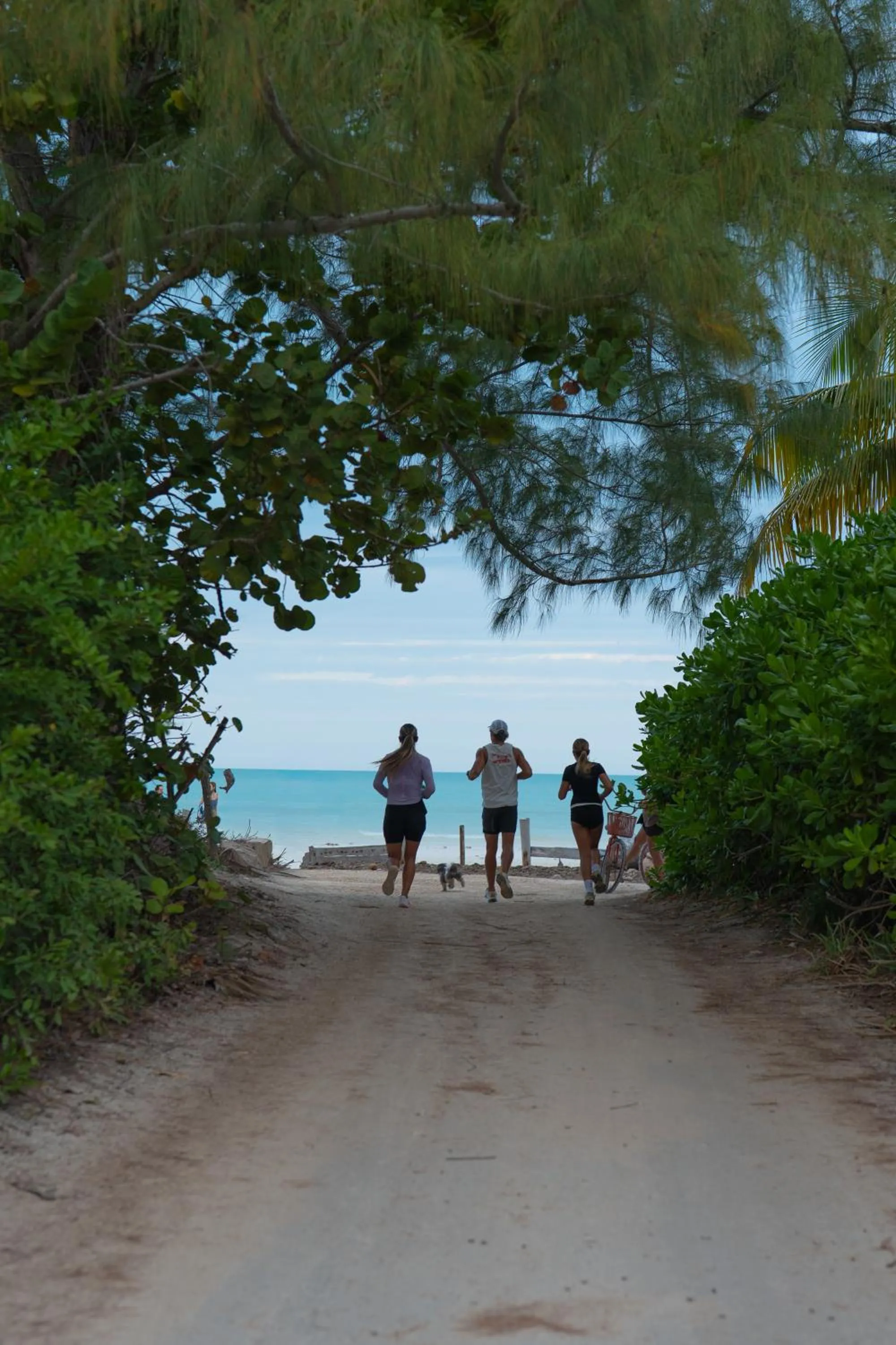 Activities in Casa Las Tortugas Petit Beach Hotel & Spa