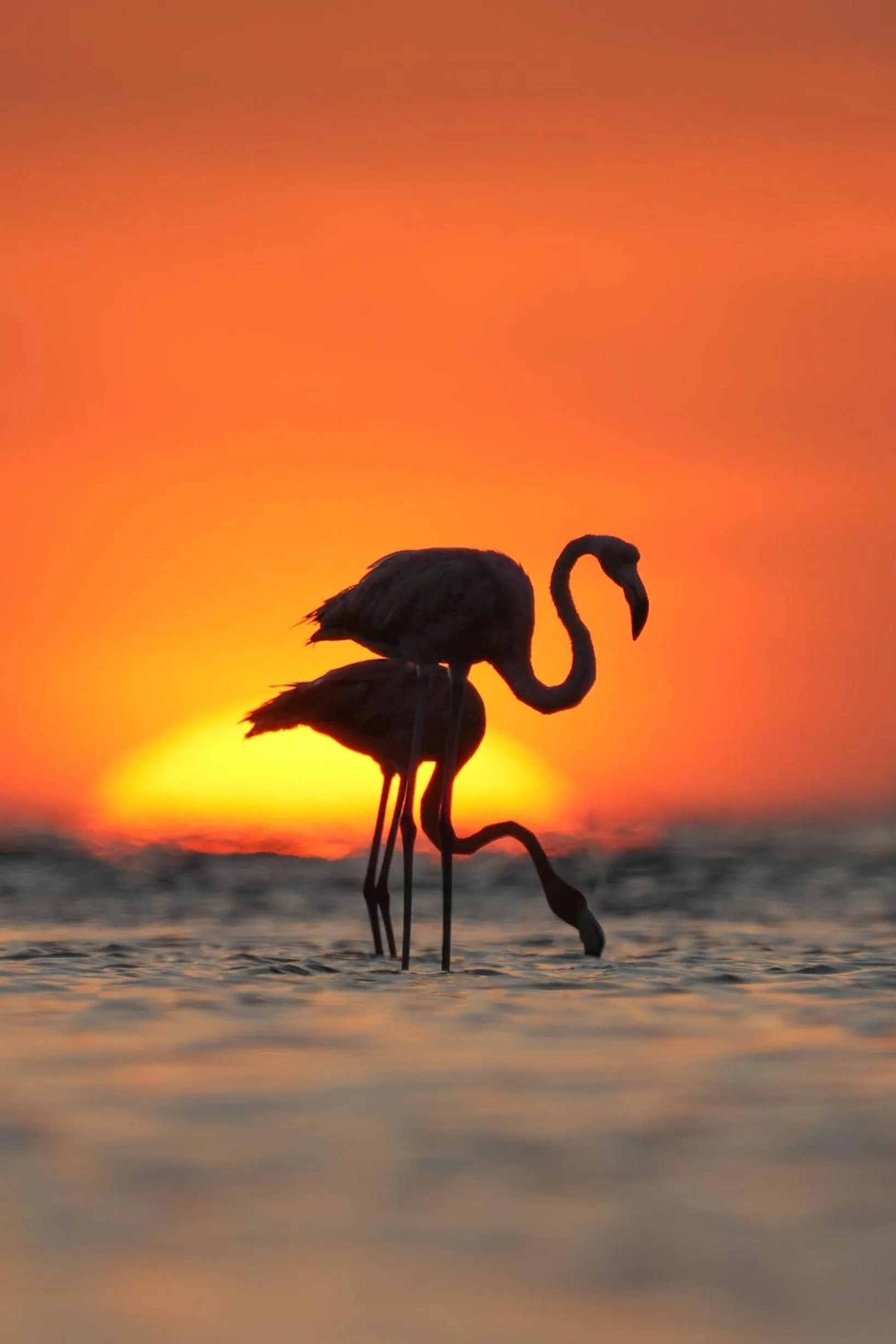 Natural landscape in Casa Las Tortugas Petit Beach Hotel & Spa