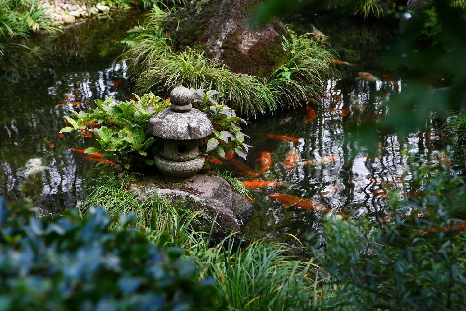 Property building in Kinzan