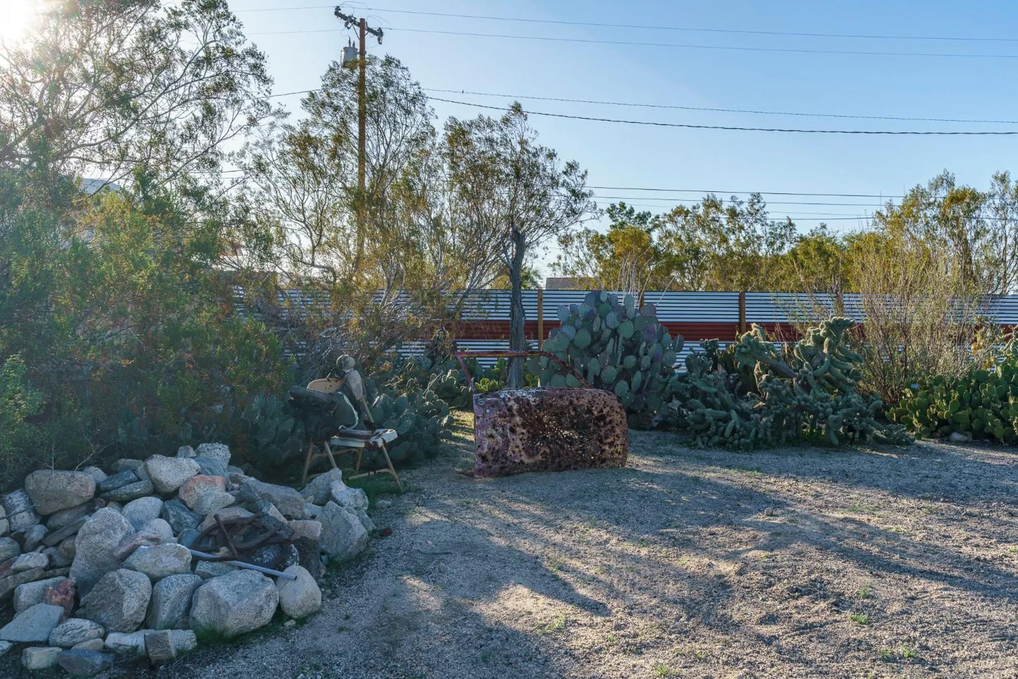 Garden in Cactus Adobe