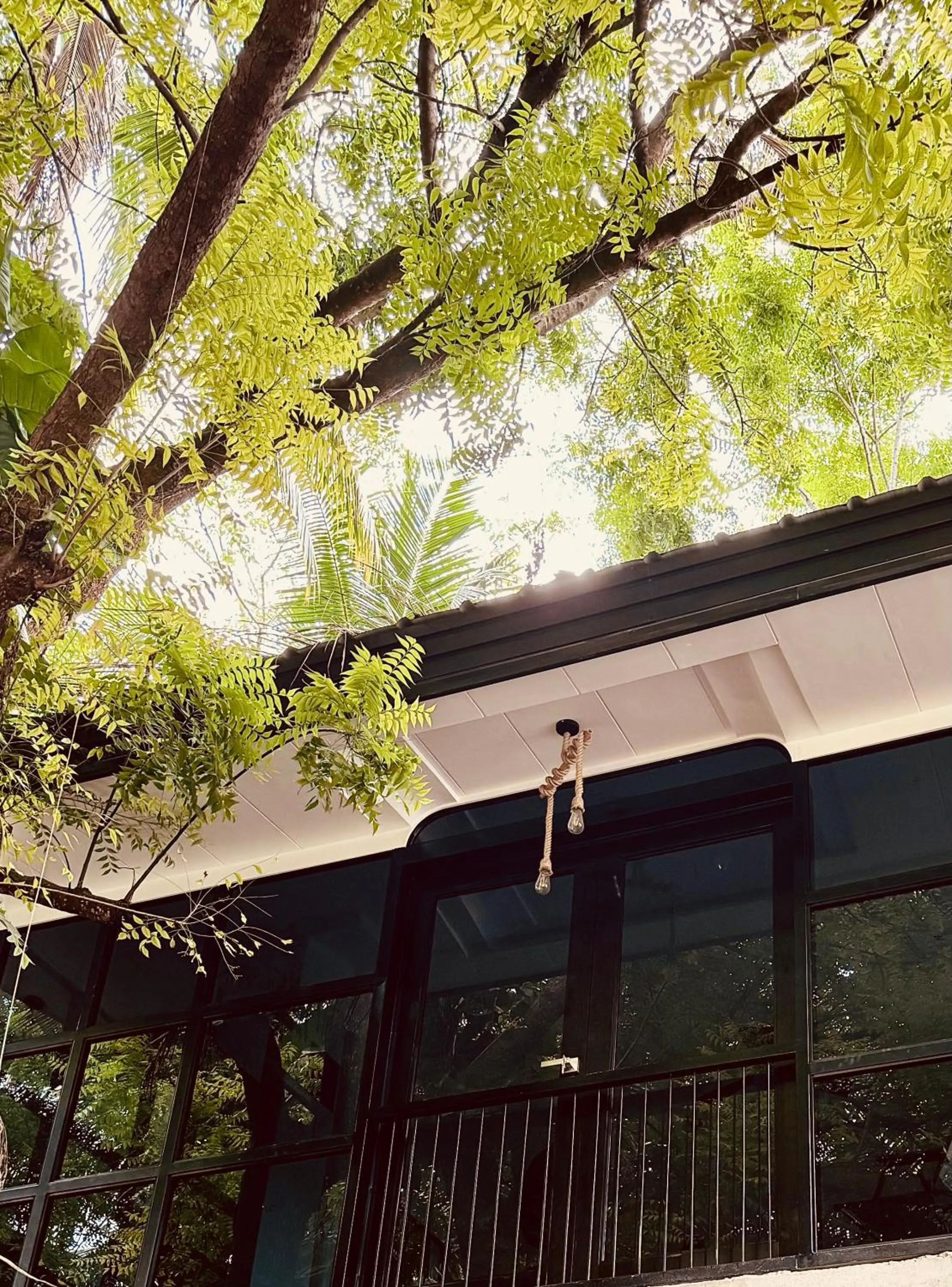 Property building in Monkey Business Siquijor