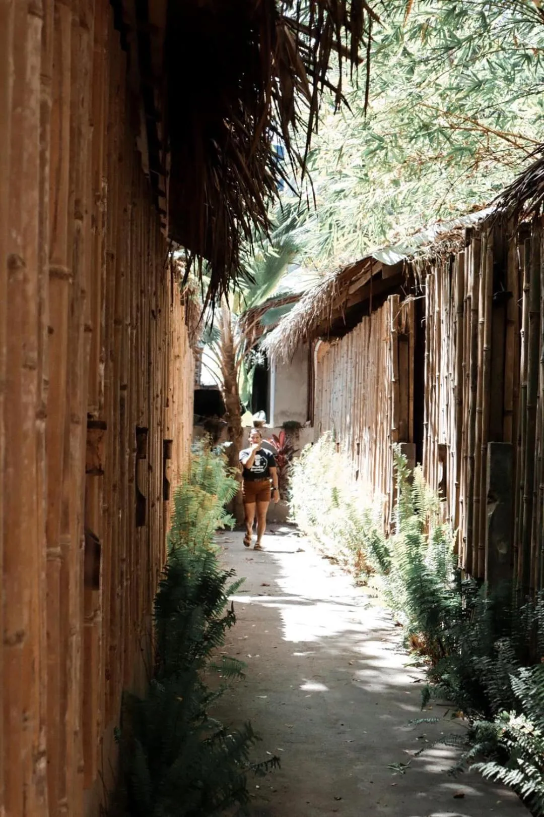 Monkey Business Siquijor