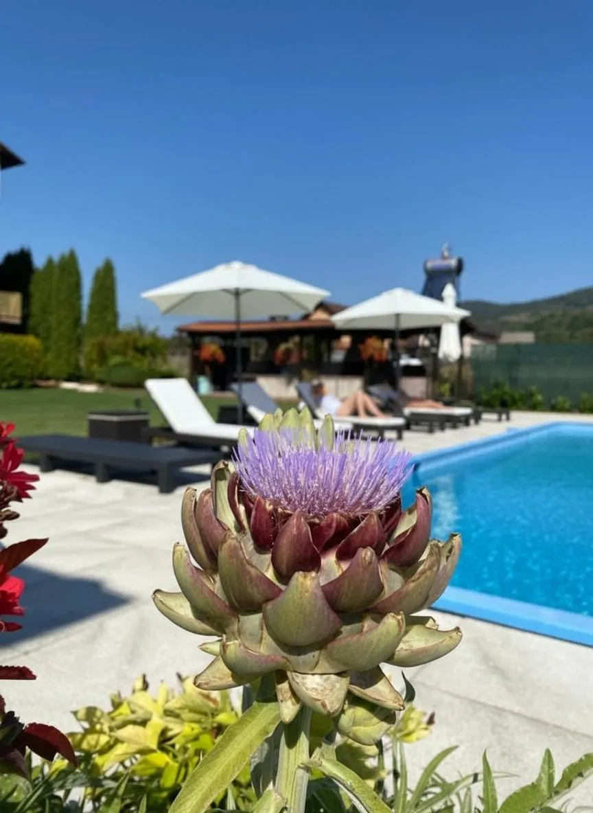 Swimming pool in Hanul Conitei