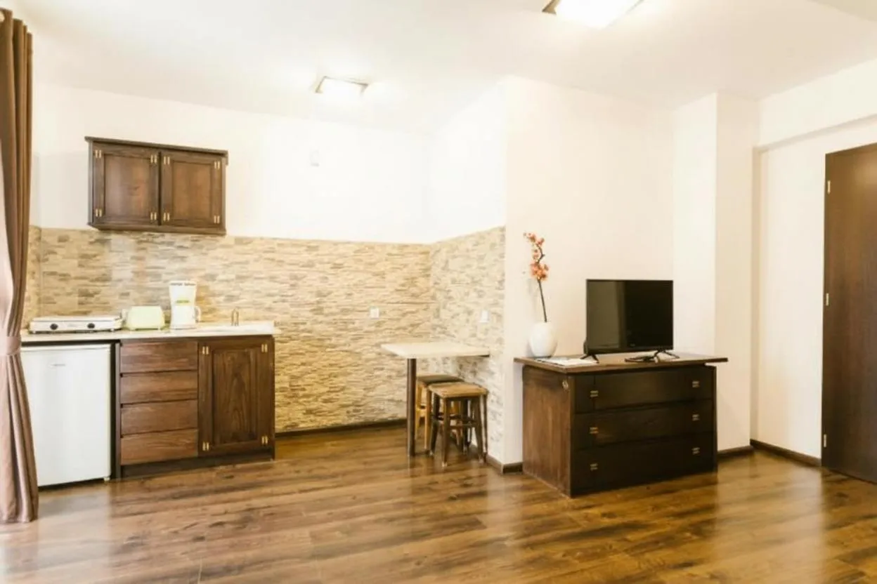 Kitchen or kitchenette in Hanul Conitei