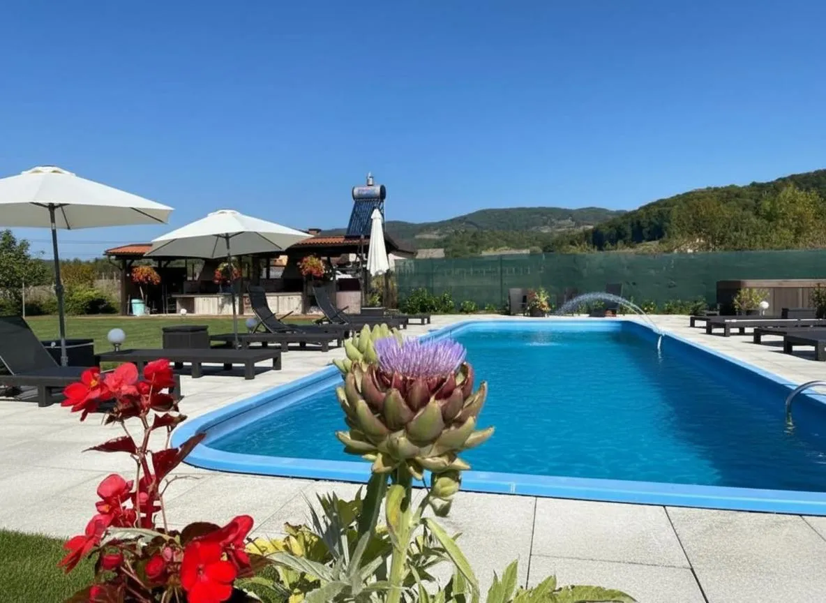 Swimming pool in Hanul Conitei